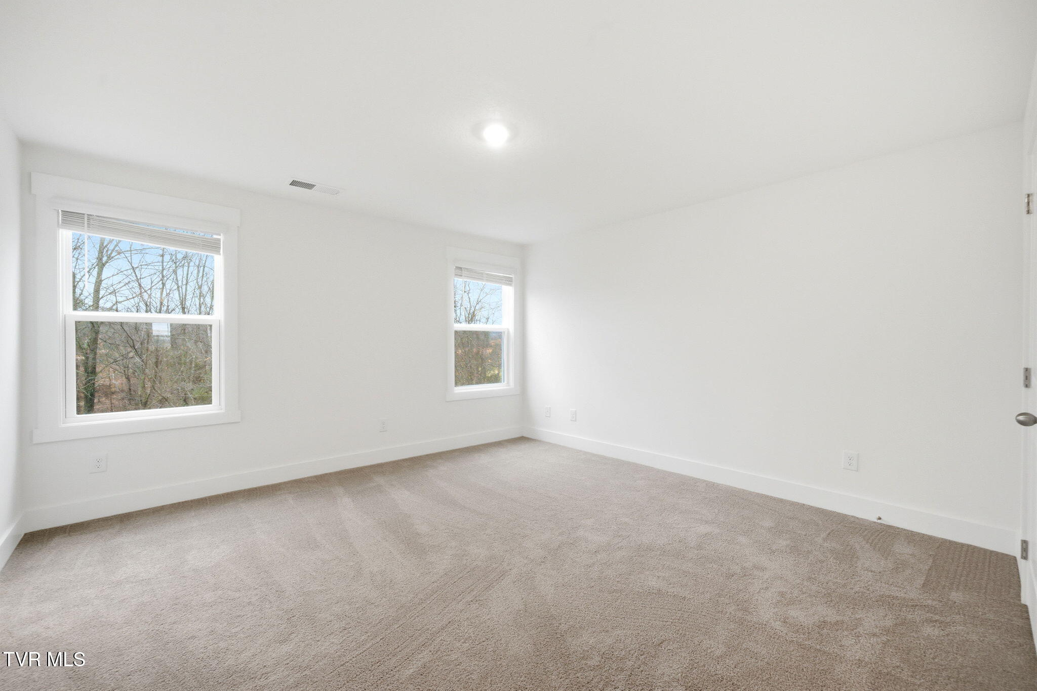 321 Cookie Loop Property Photo 14