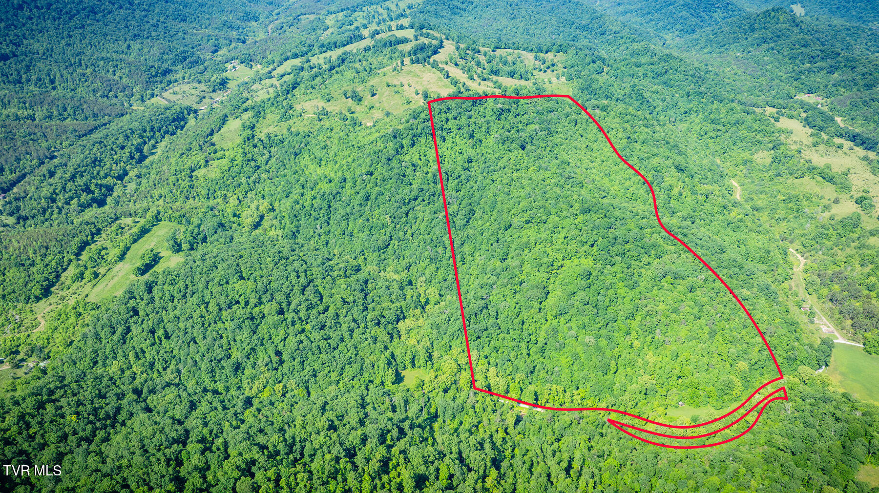 Tbd Eb Hollow Road Property Photo