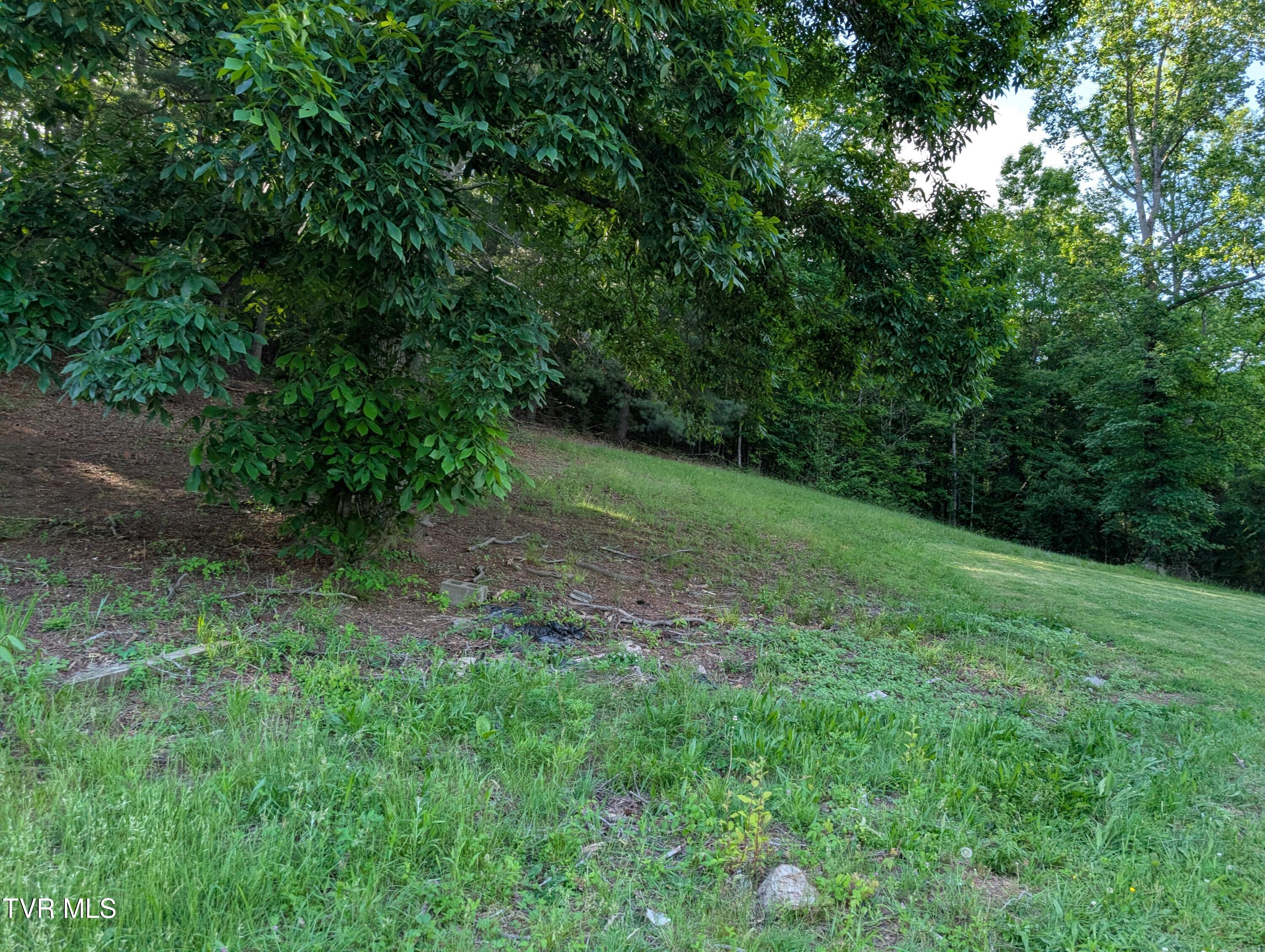 Tbd Hilton Road Property Photo 1