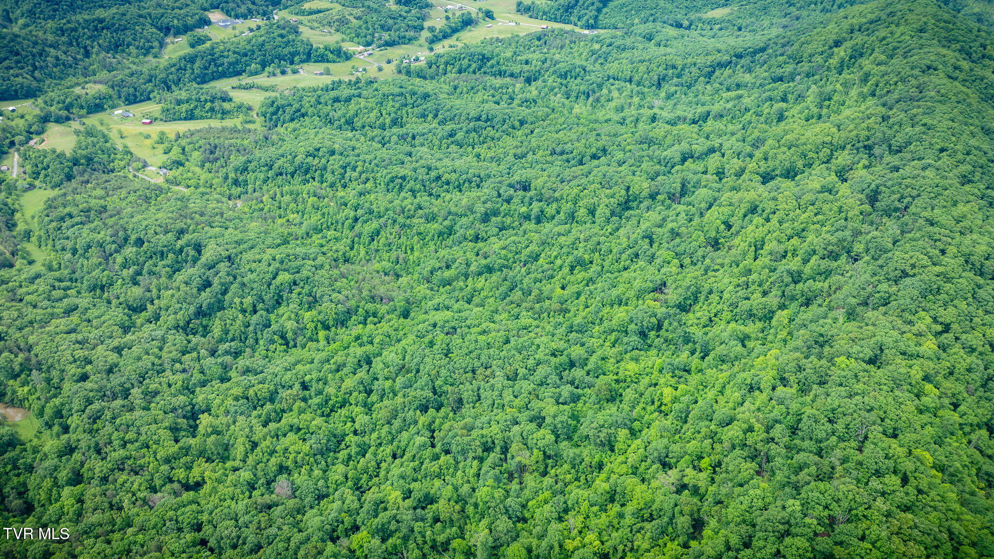 455 Okey Mowell Road Property Photo 38