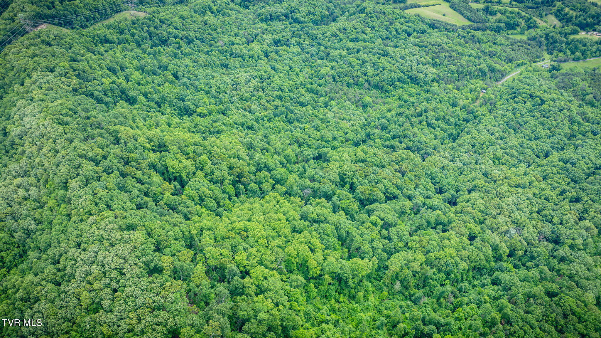 455 Okey Mowell Road Property Photo 39