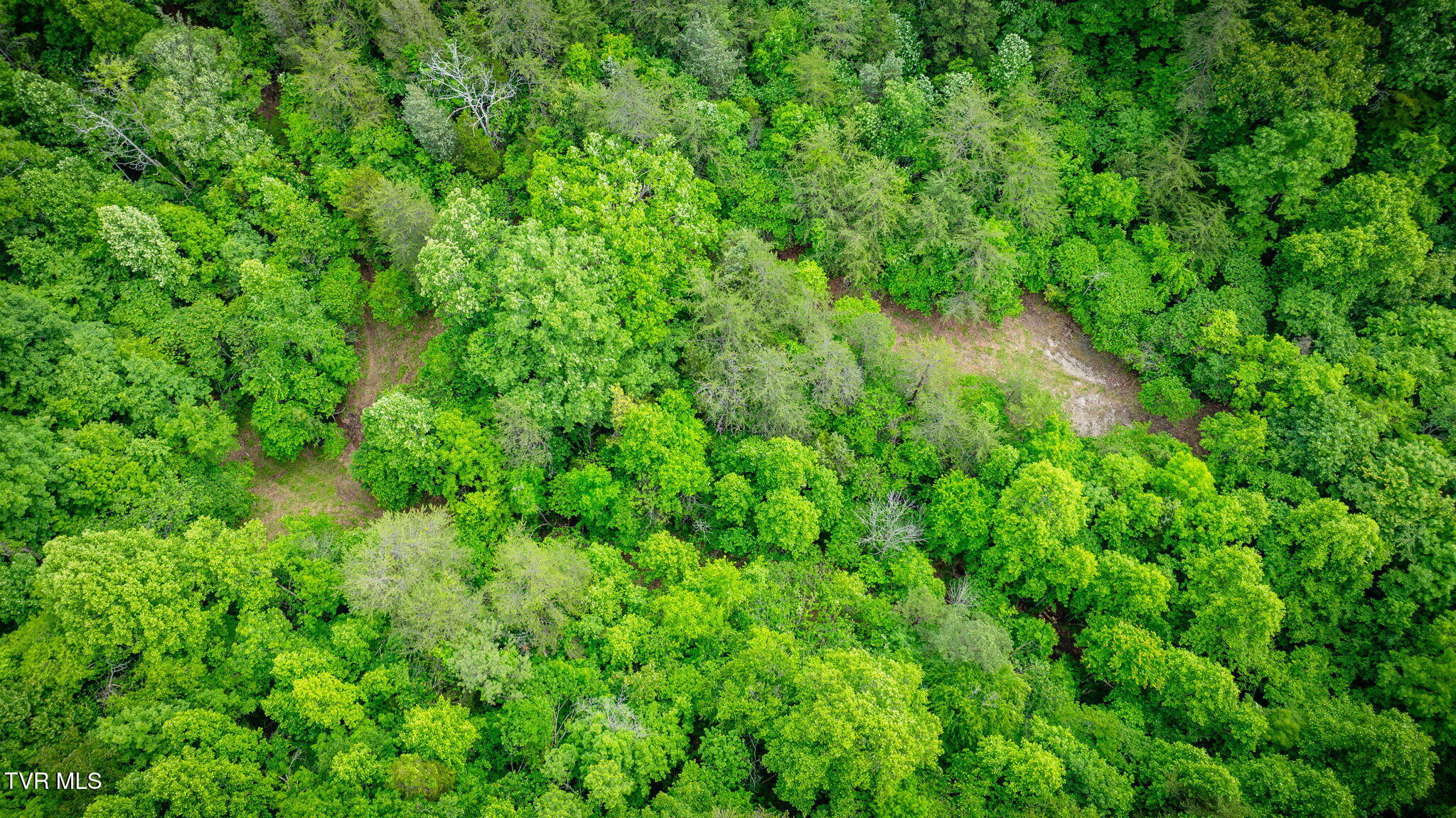 455 Okey Mowell Road Property Photo 41