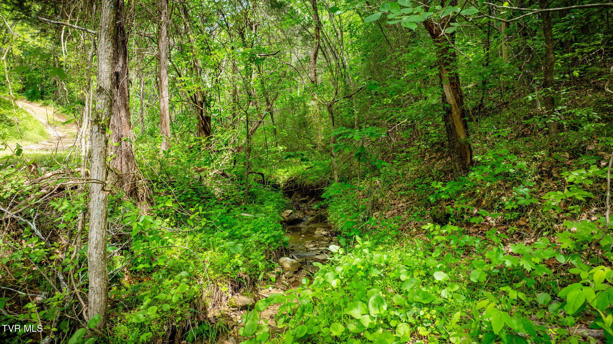 455 Okey Mowell Road Property Photo 48