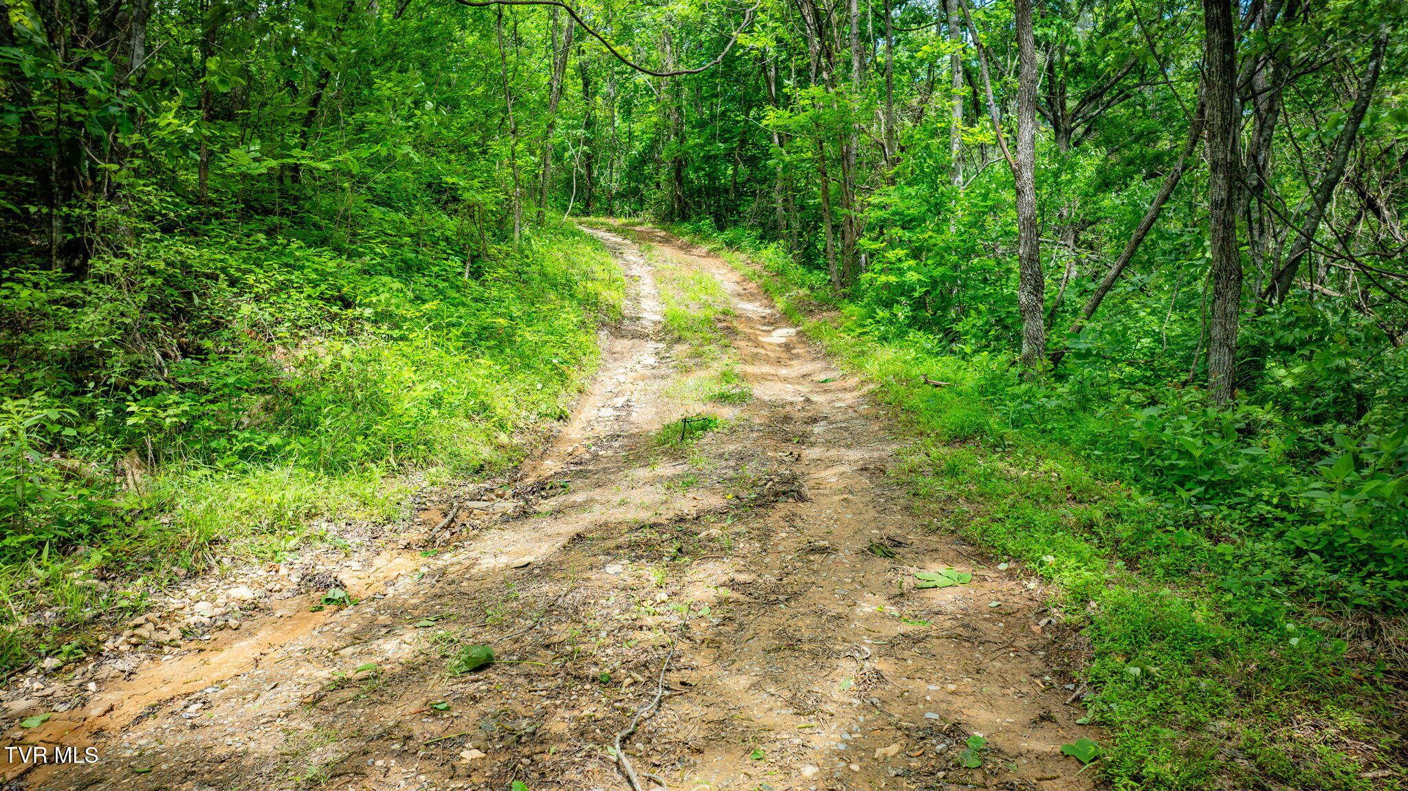 455 Okey Mowell Road Property Photo 49