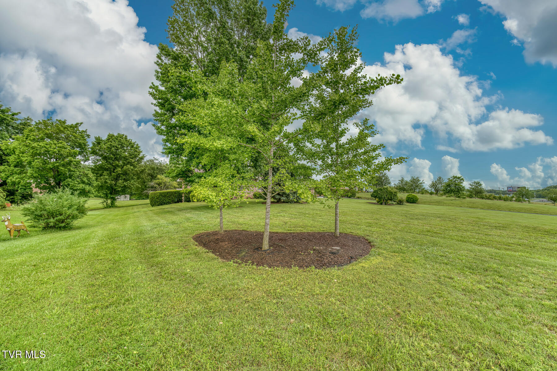 424 Jonesboro Road Property Photo 92