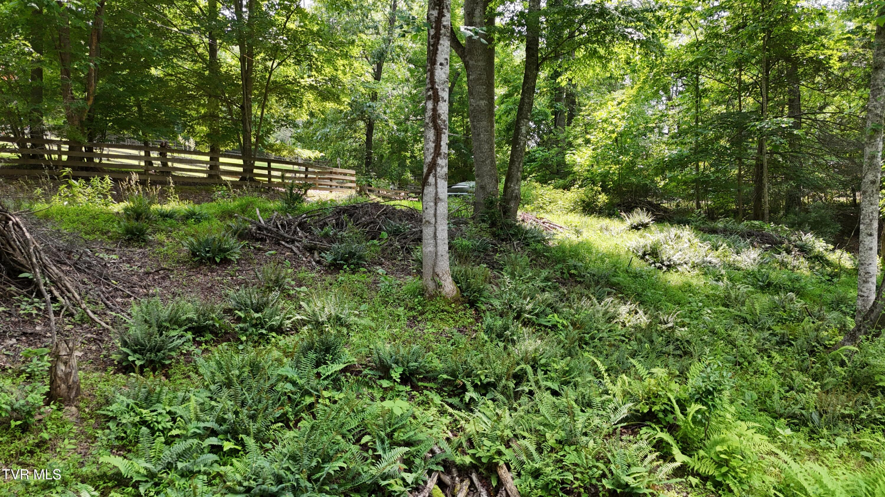 Tr 1 Atwood Point Property Photo