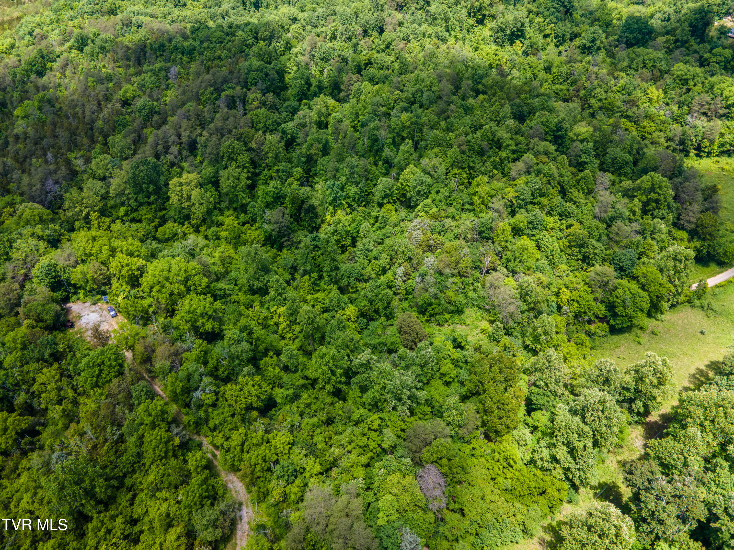 Tbd Mountain Loop Road Property Photo 3