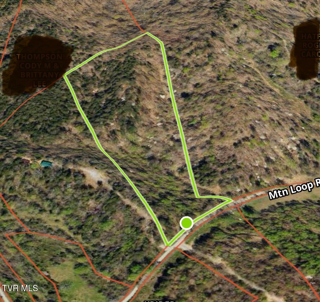 Tbd Mountain Loop Road Property Photo 6