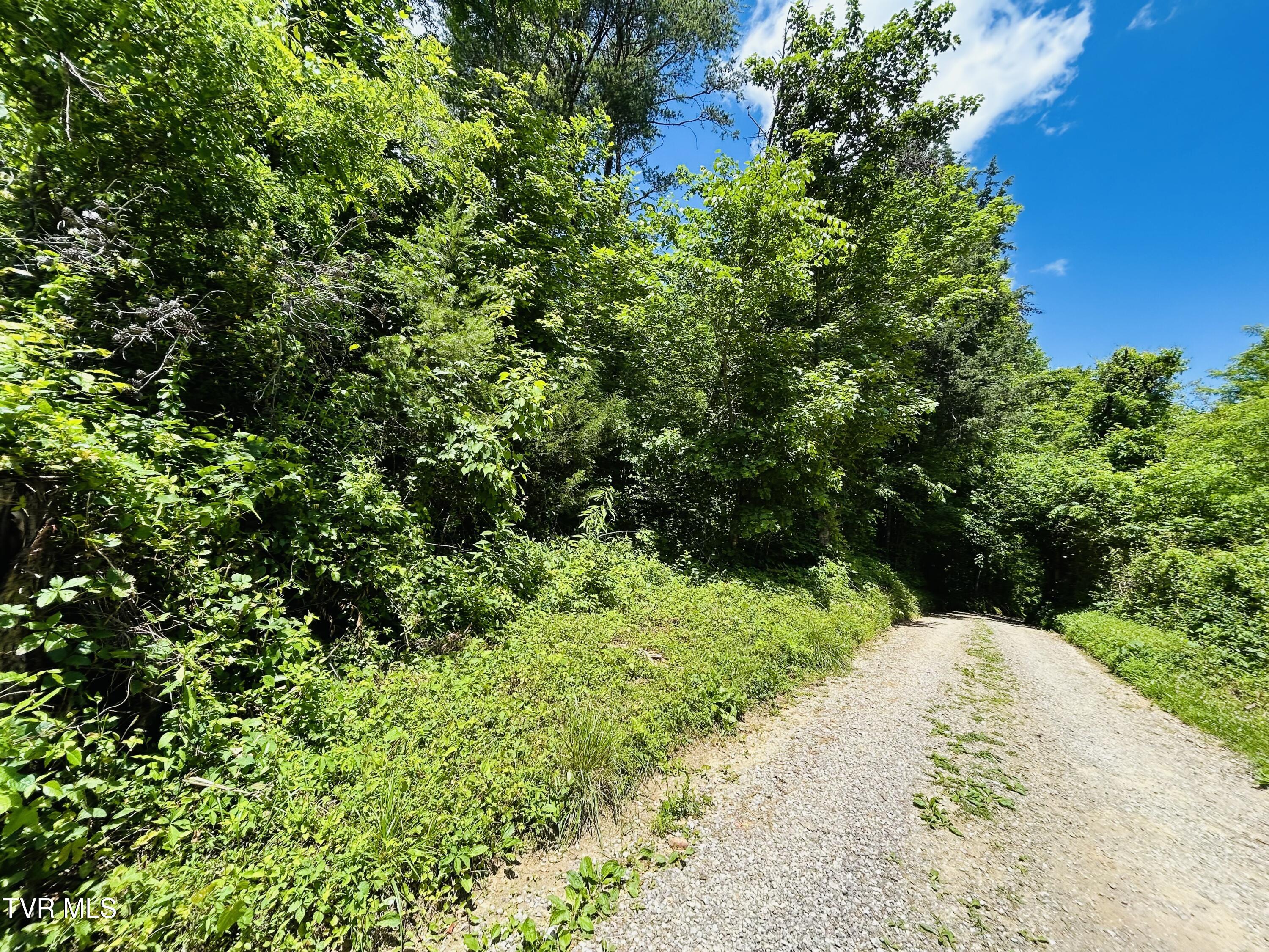 Tbd Mountain Loop Road Property Photo 9