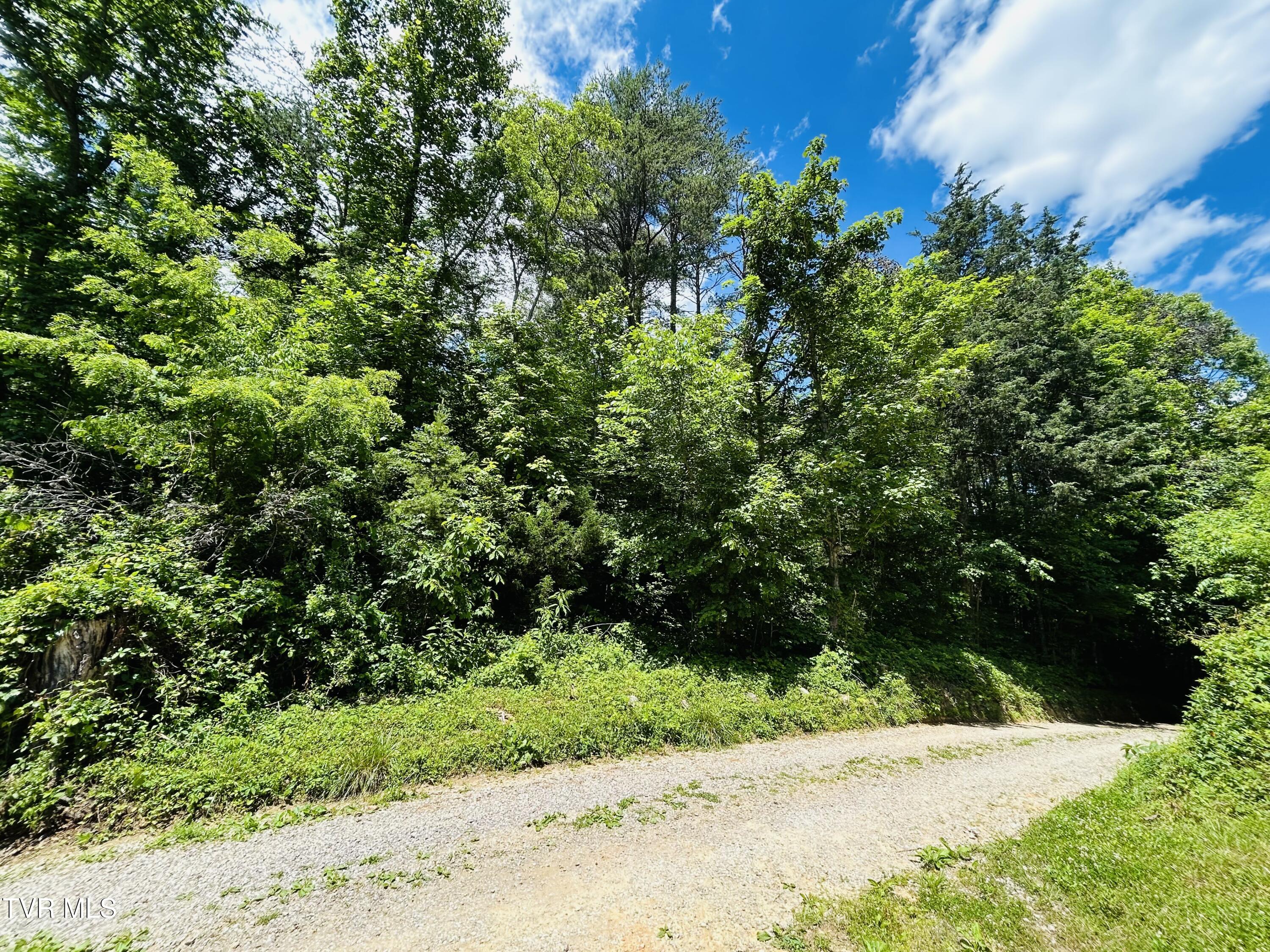 Tbd Mountain Loop Road Property Photo 10