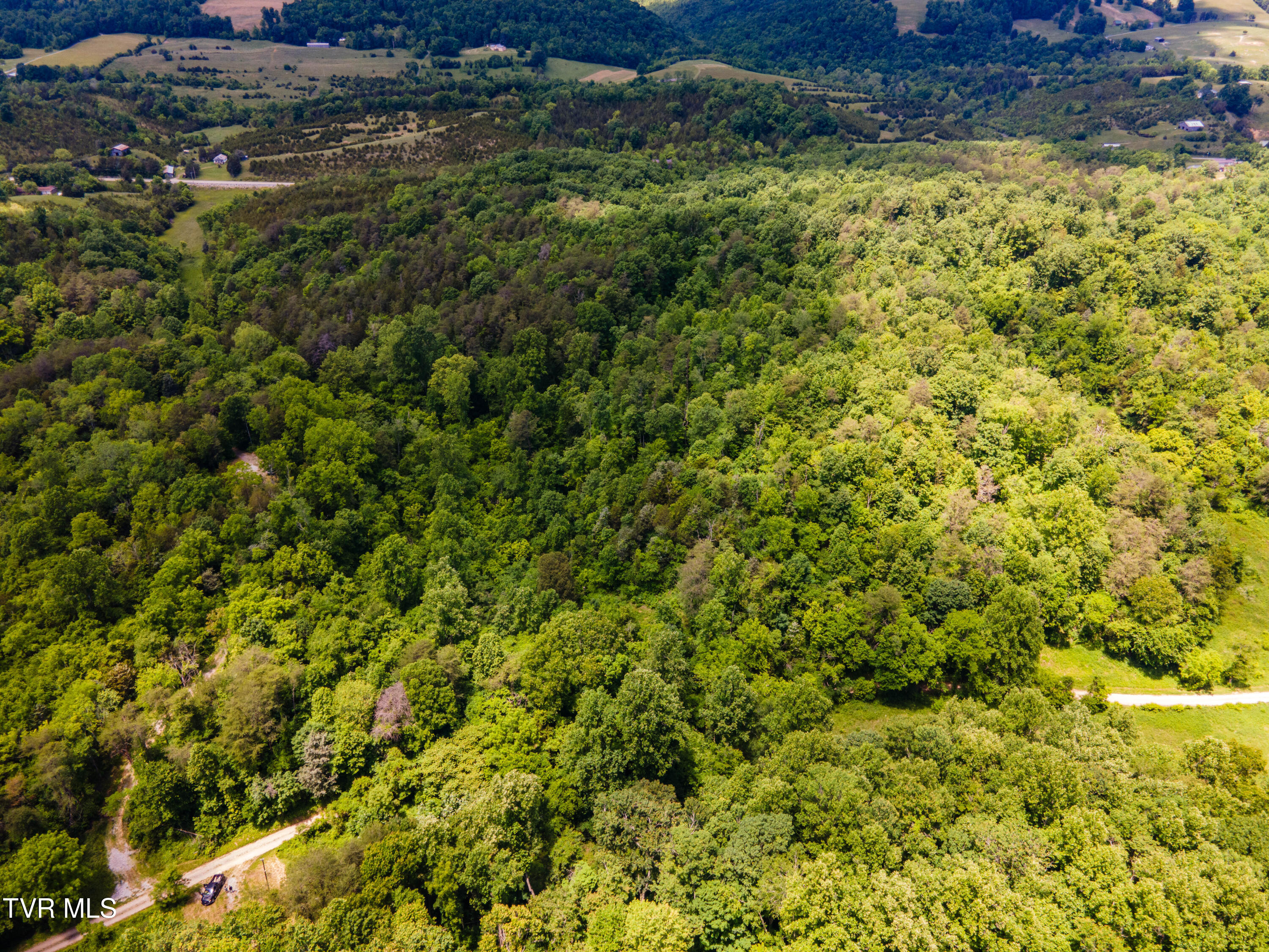 Tbd Mountain Loop Road Property Photo 12