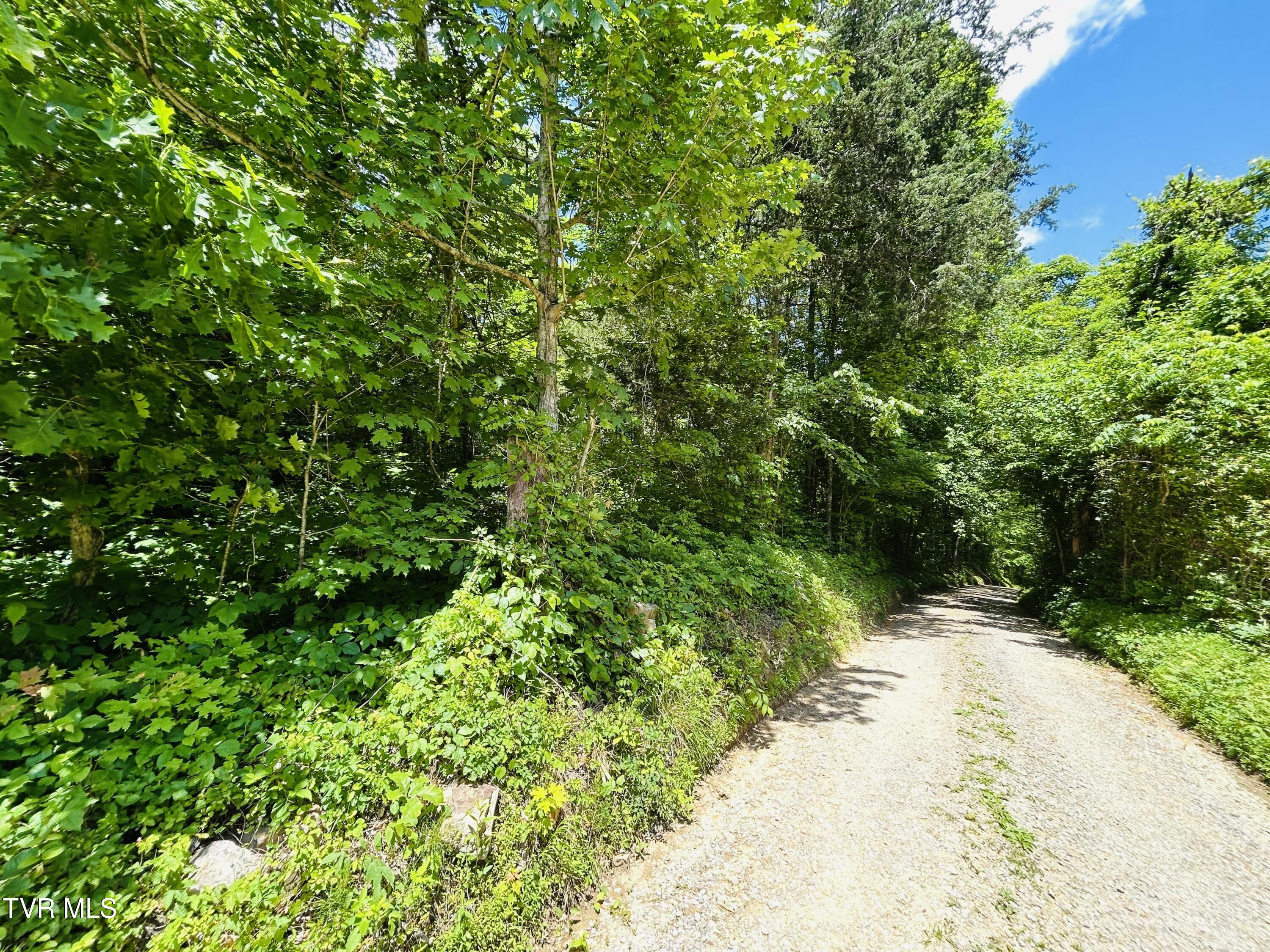 Tbd Mountain Loop Road Property Photo 13