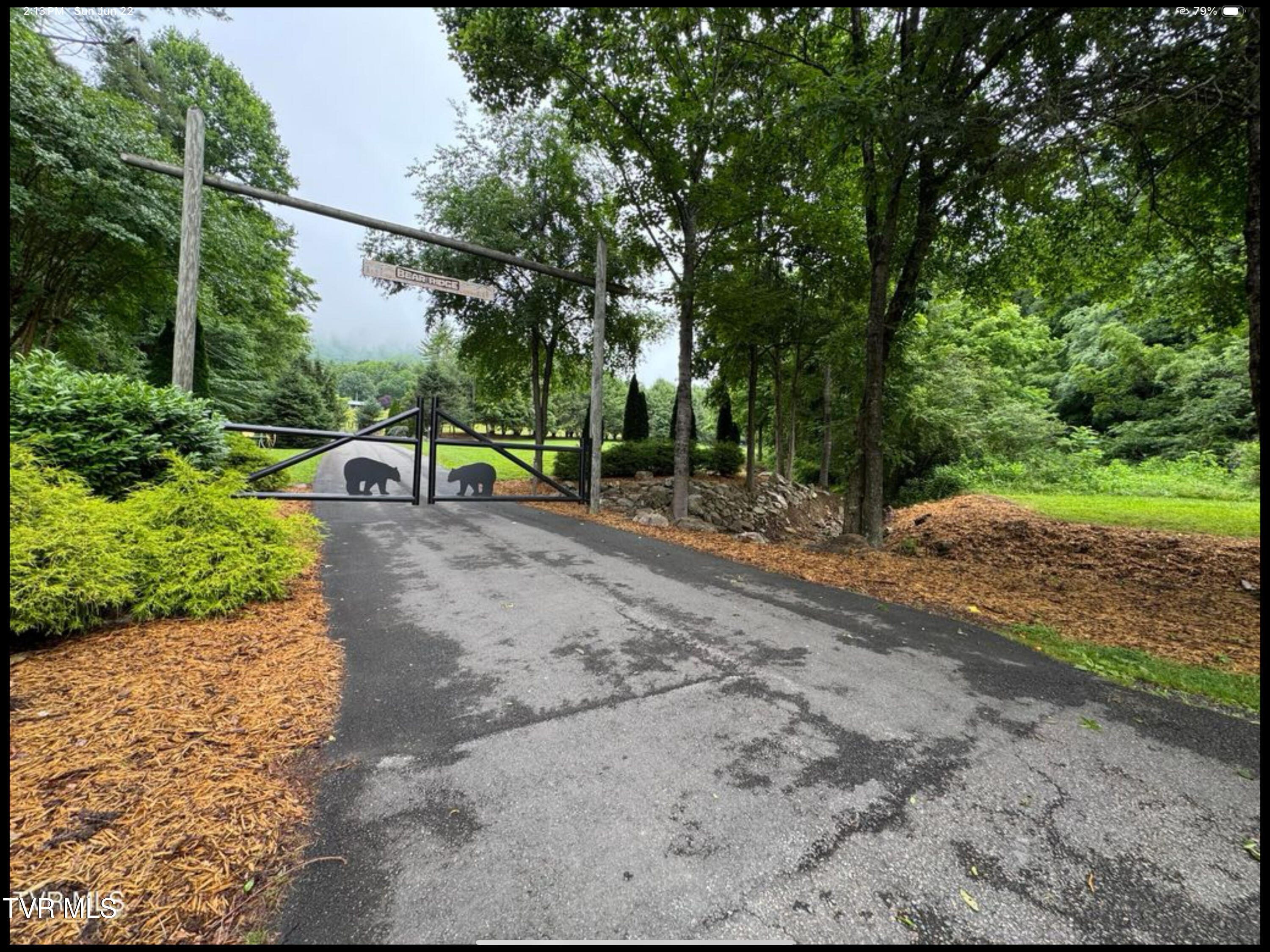 191 Bear Ridge Drive Property Photo 2