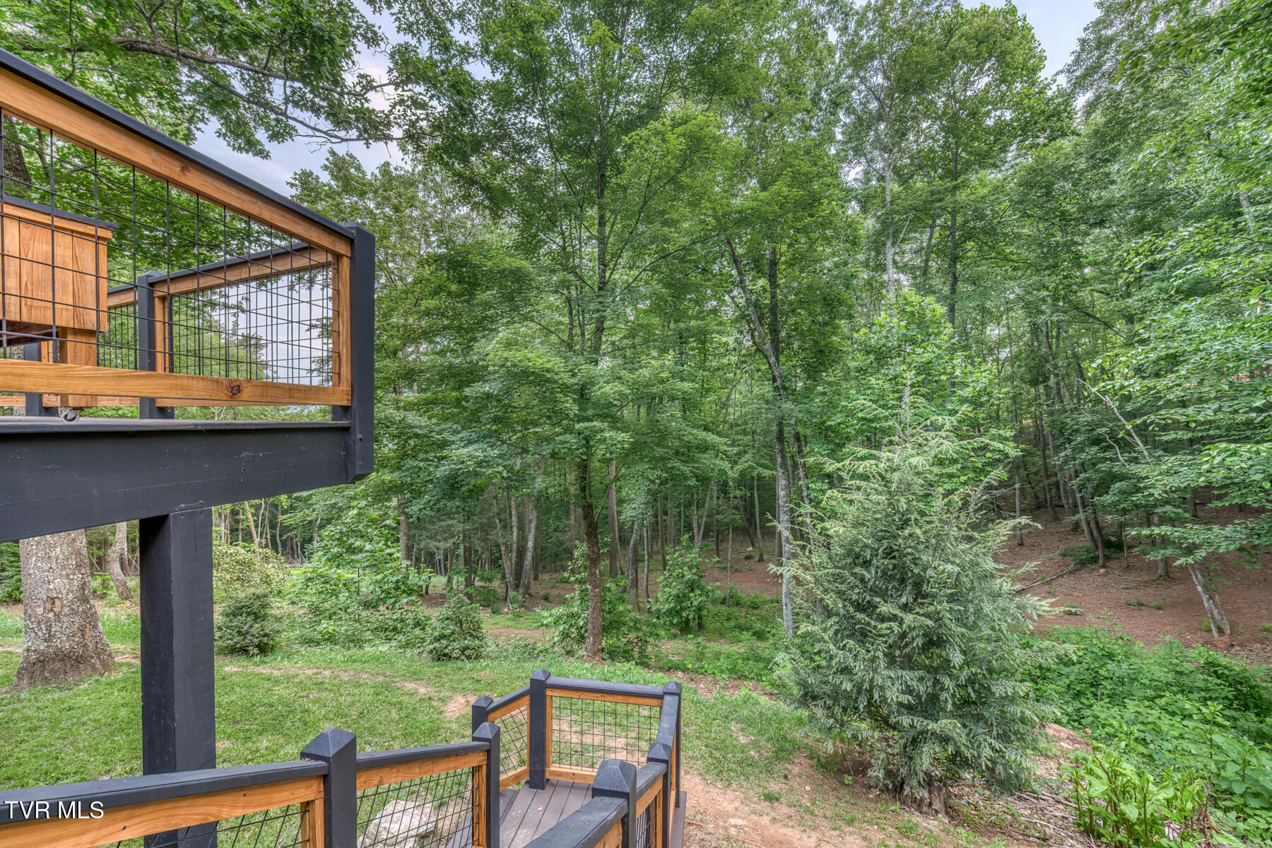 191 Bear Ridge Drive Property Photo 21