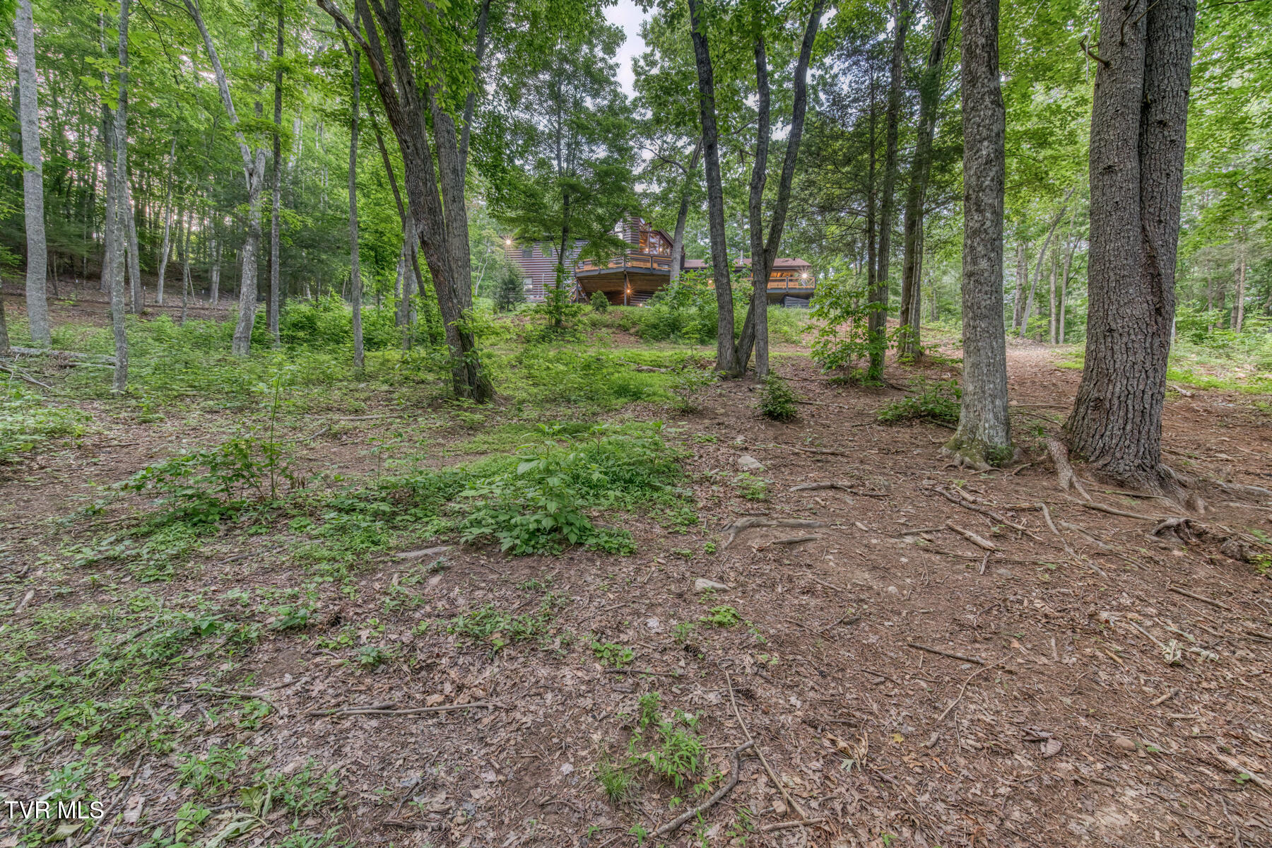 191 Bear Ridge Drive Property Photo 75