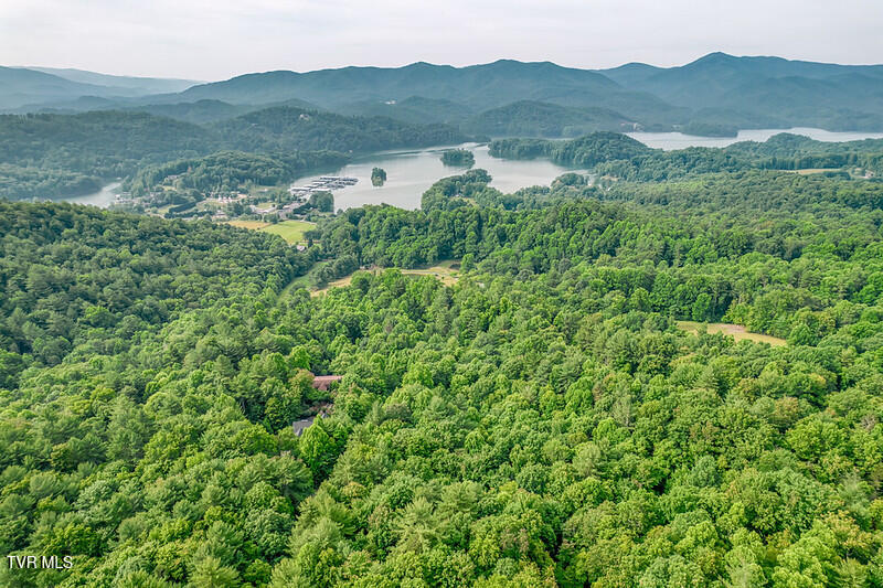 191 Bear Ridge Drive Property Photo 77