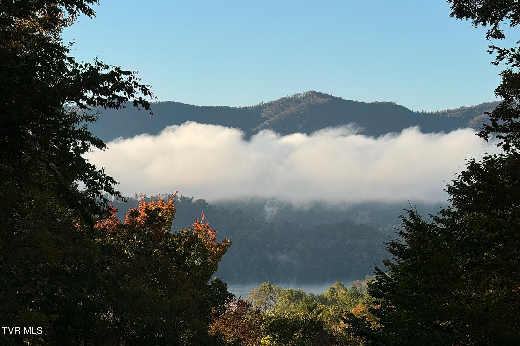 191 Bear Ridge Drive Property Photo 78