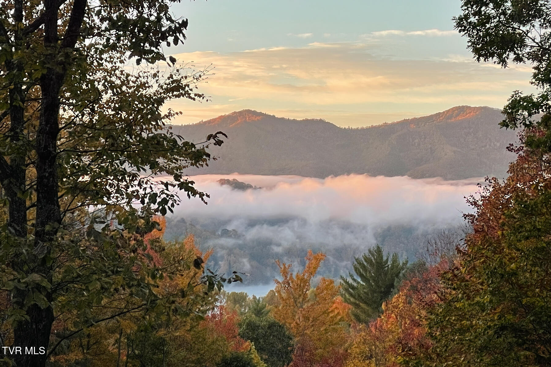 191 Bear Ridge Drive Property Photo 80