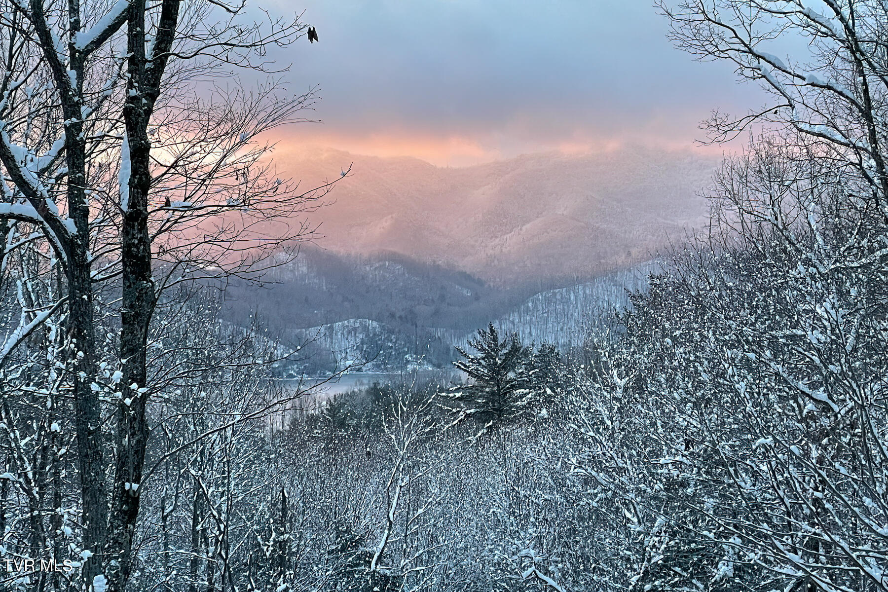 191 Bear Ridge Drive Property Photo 81