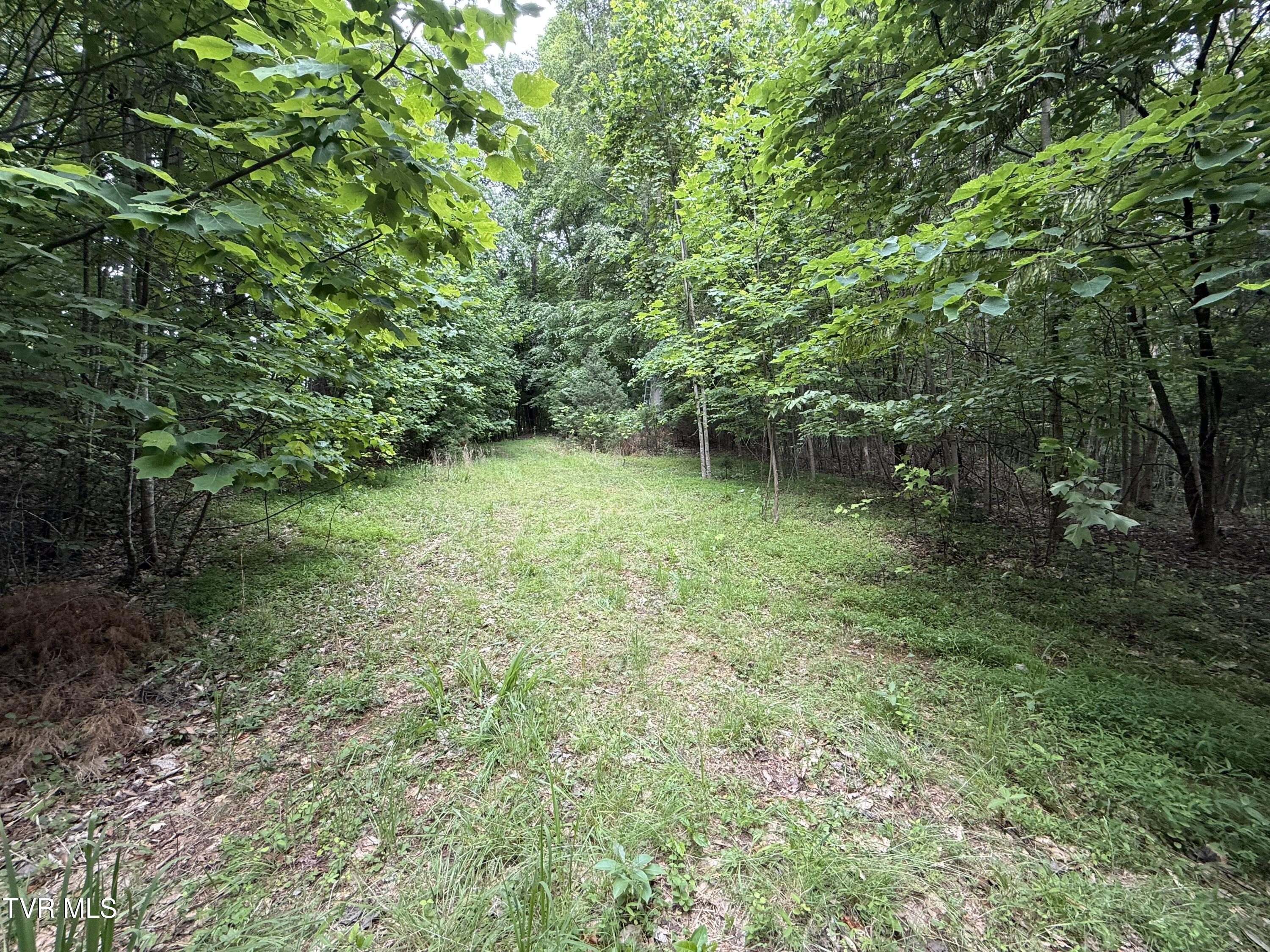 1808 Island Road Property Photo 1