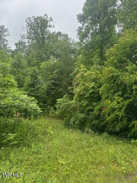 Tbd Laurel Lane Property Photo 1