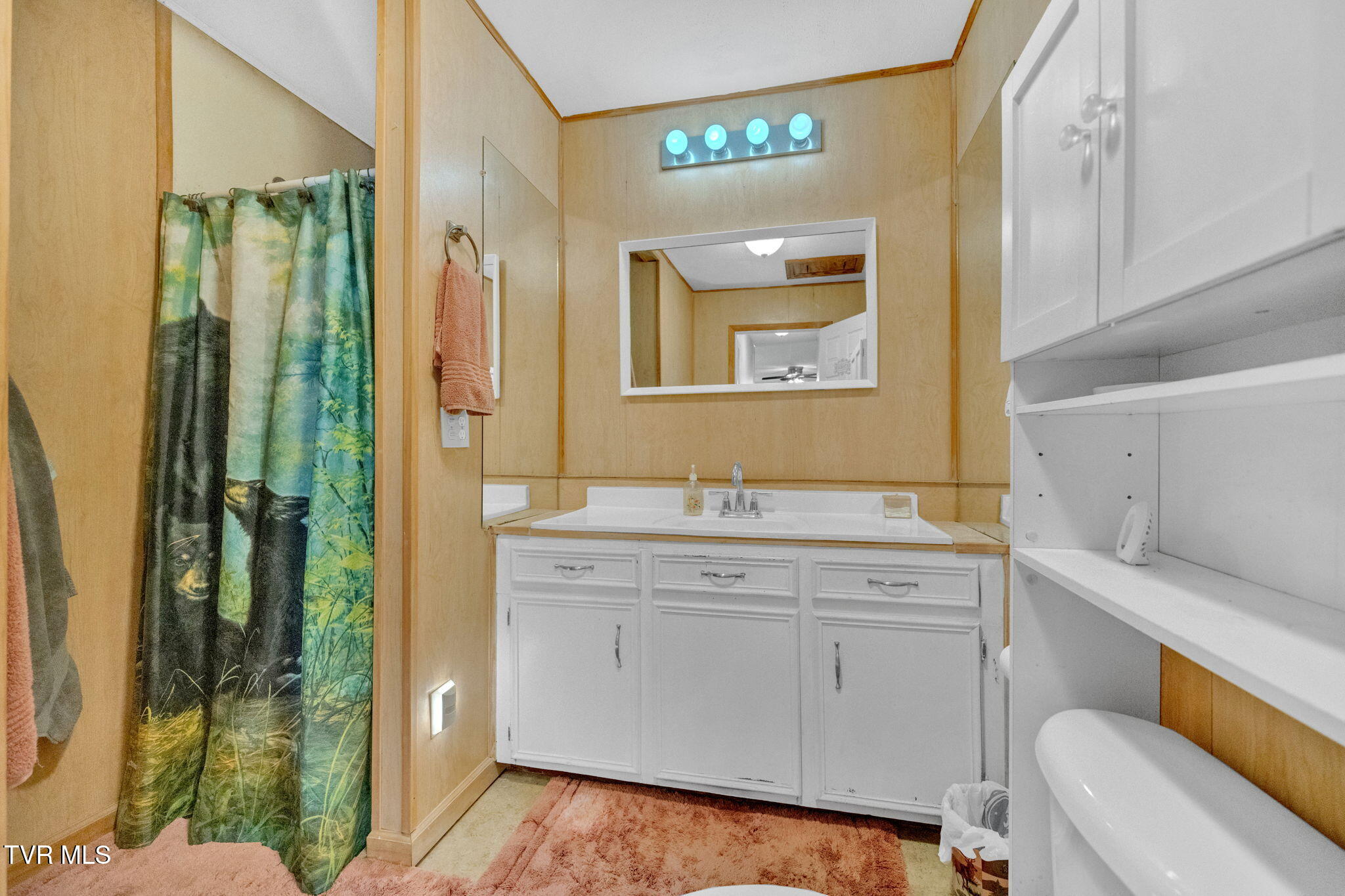 929 Black Alder Lane Property Photo 14