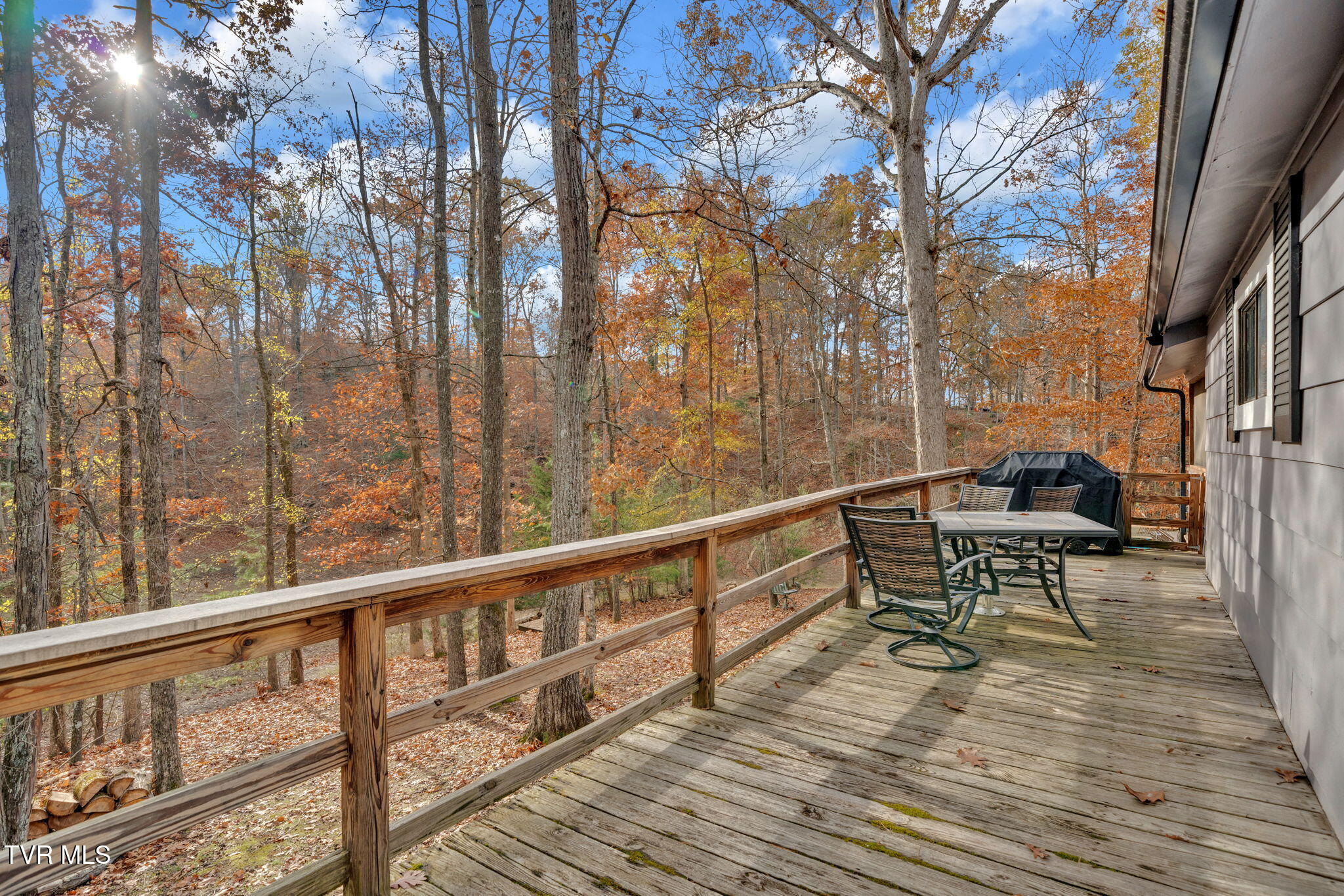 929 Black Alder Lane Property Photo 17