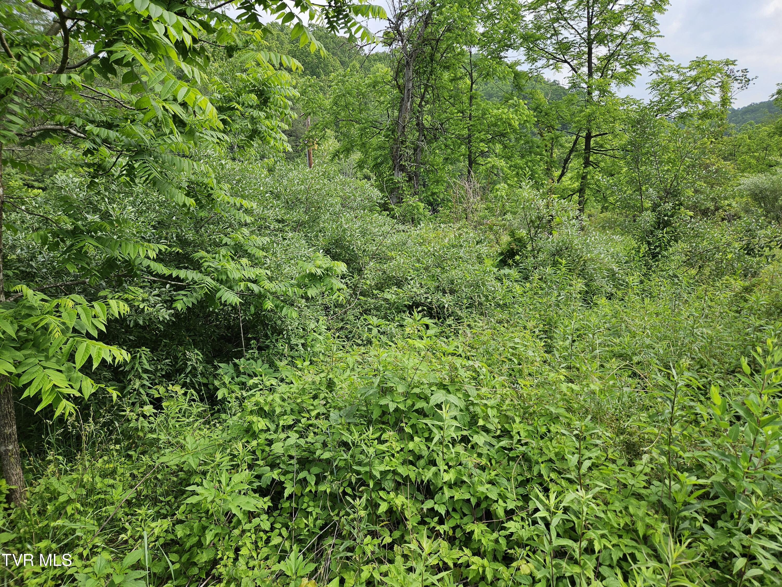 6770 State Rte 606 Property Photo 2
