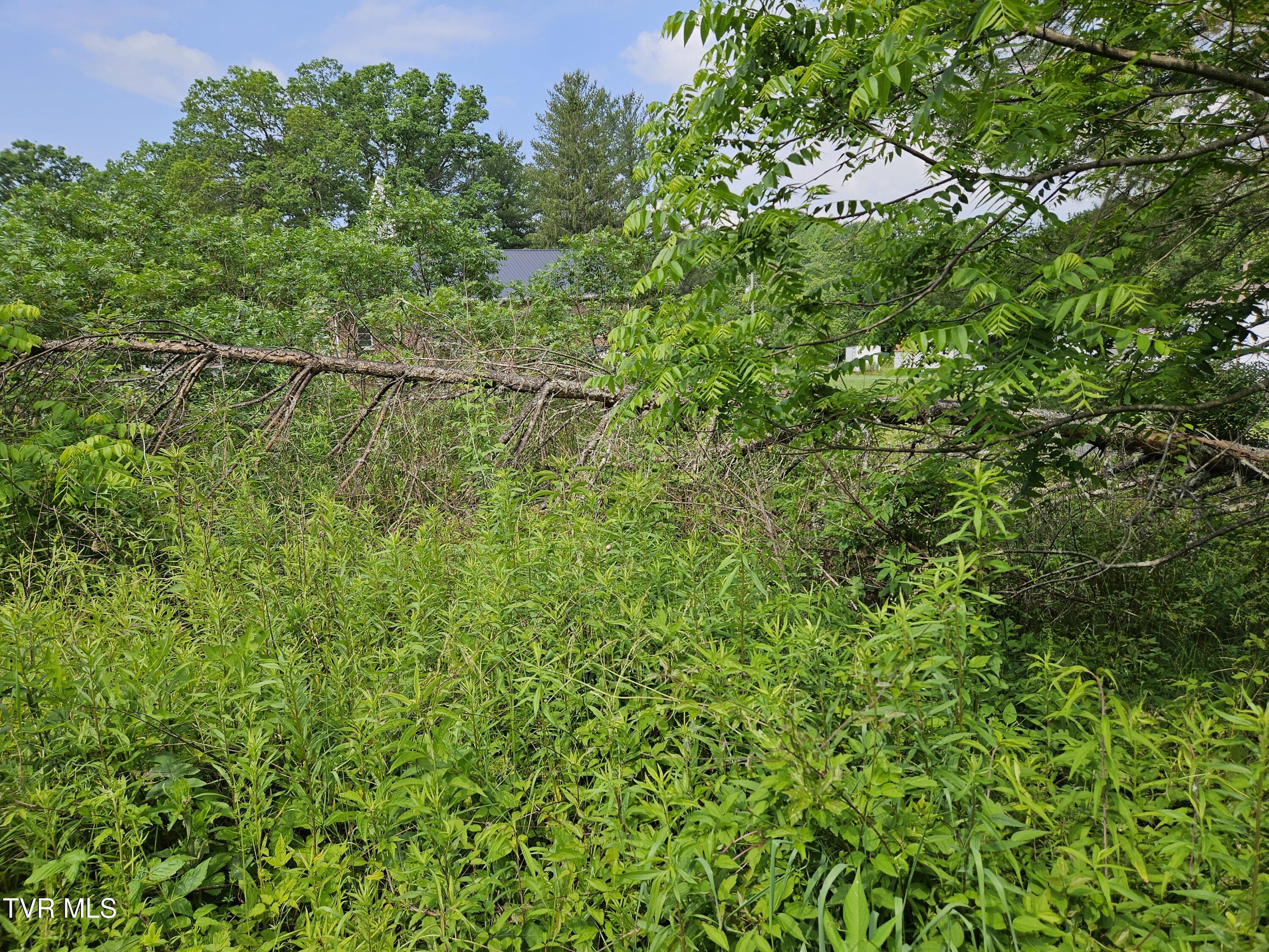6770 State Rte 606 Property Photo 3