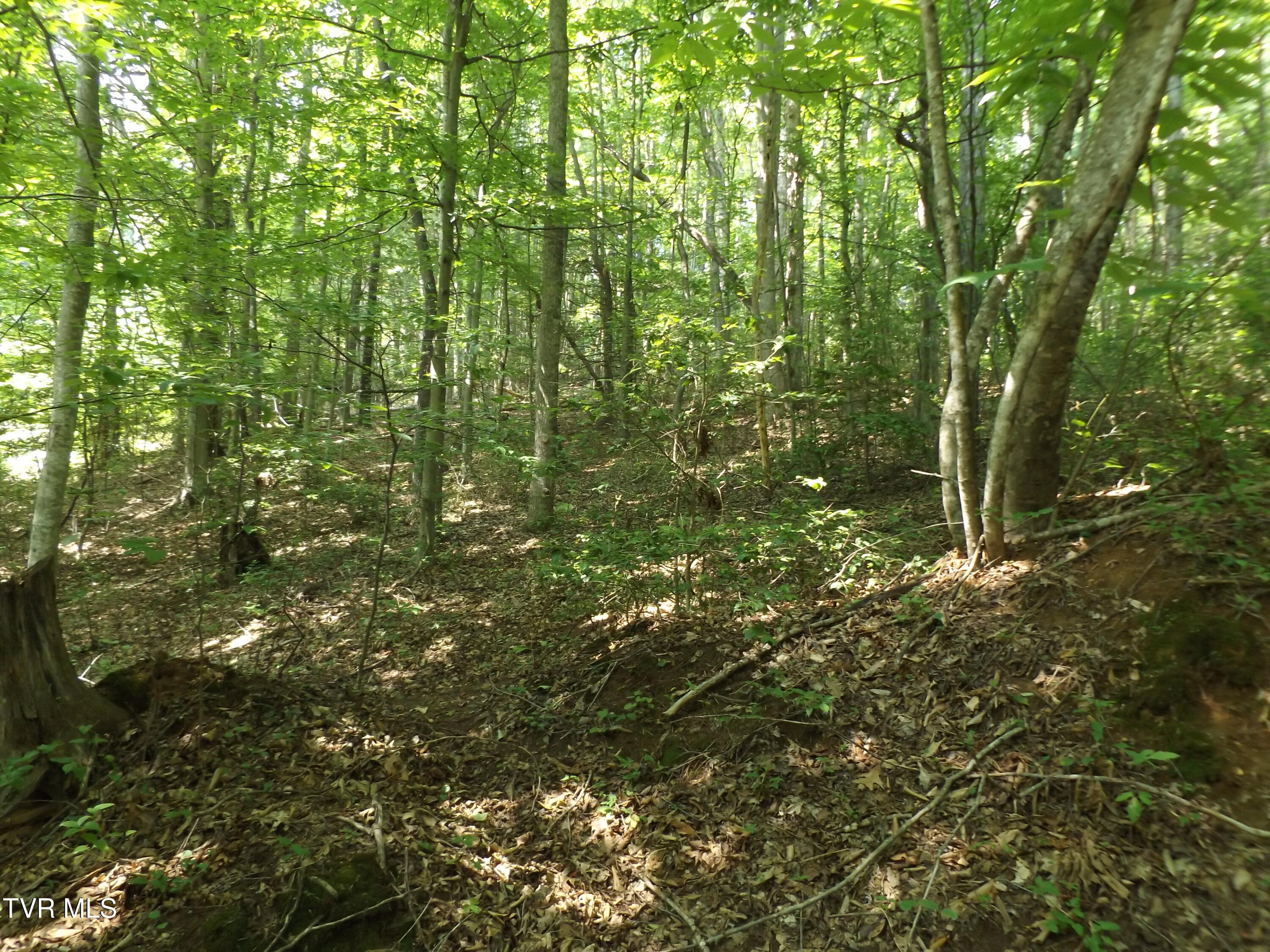229 Rome Hollow Road Property Photo 1