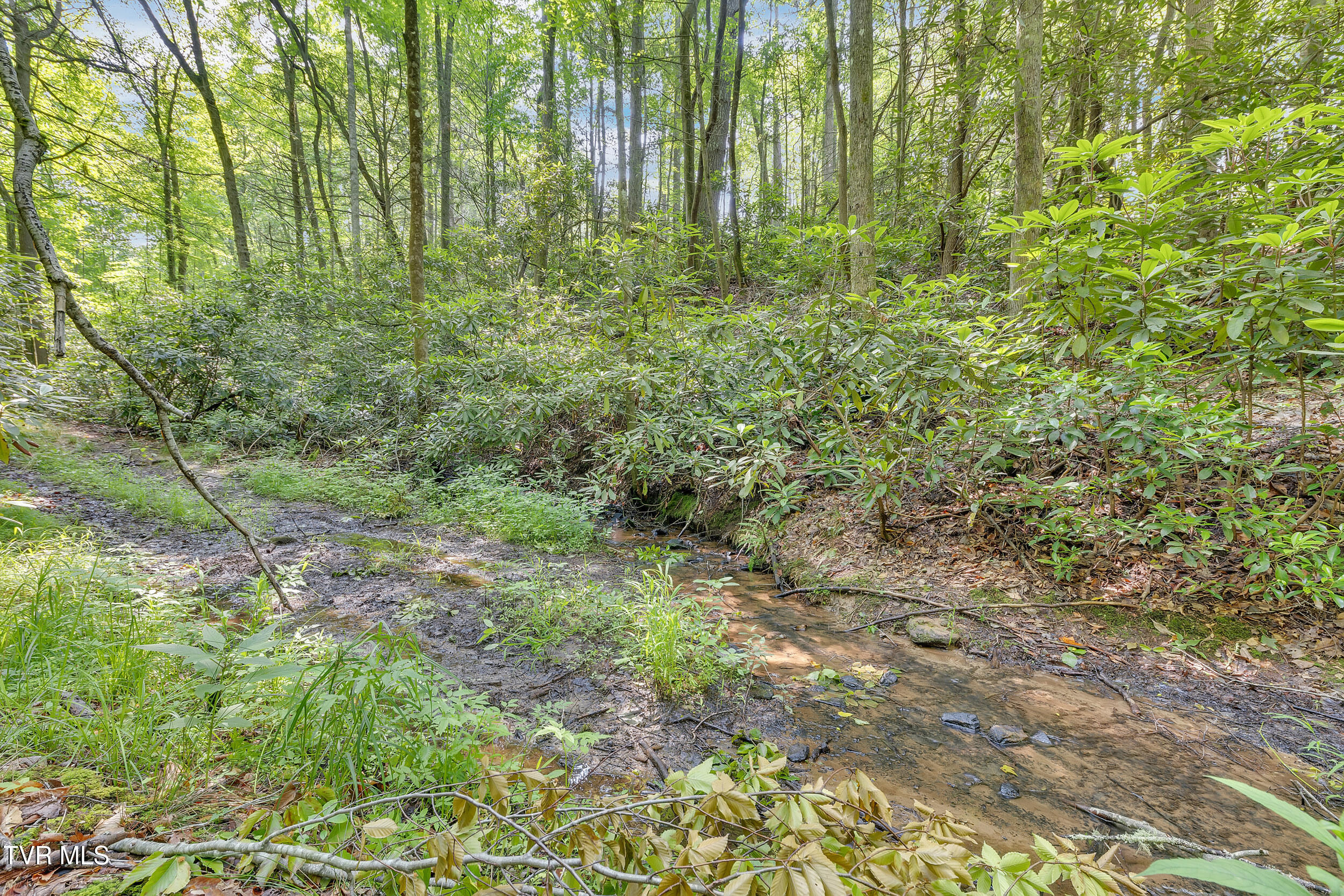 3232 Shelby Way Property Photo 51