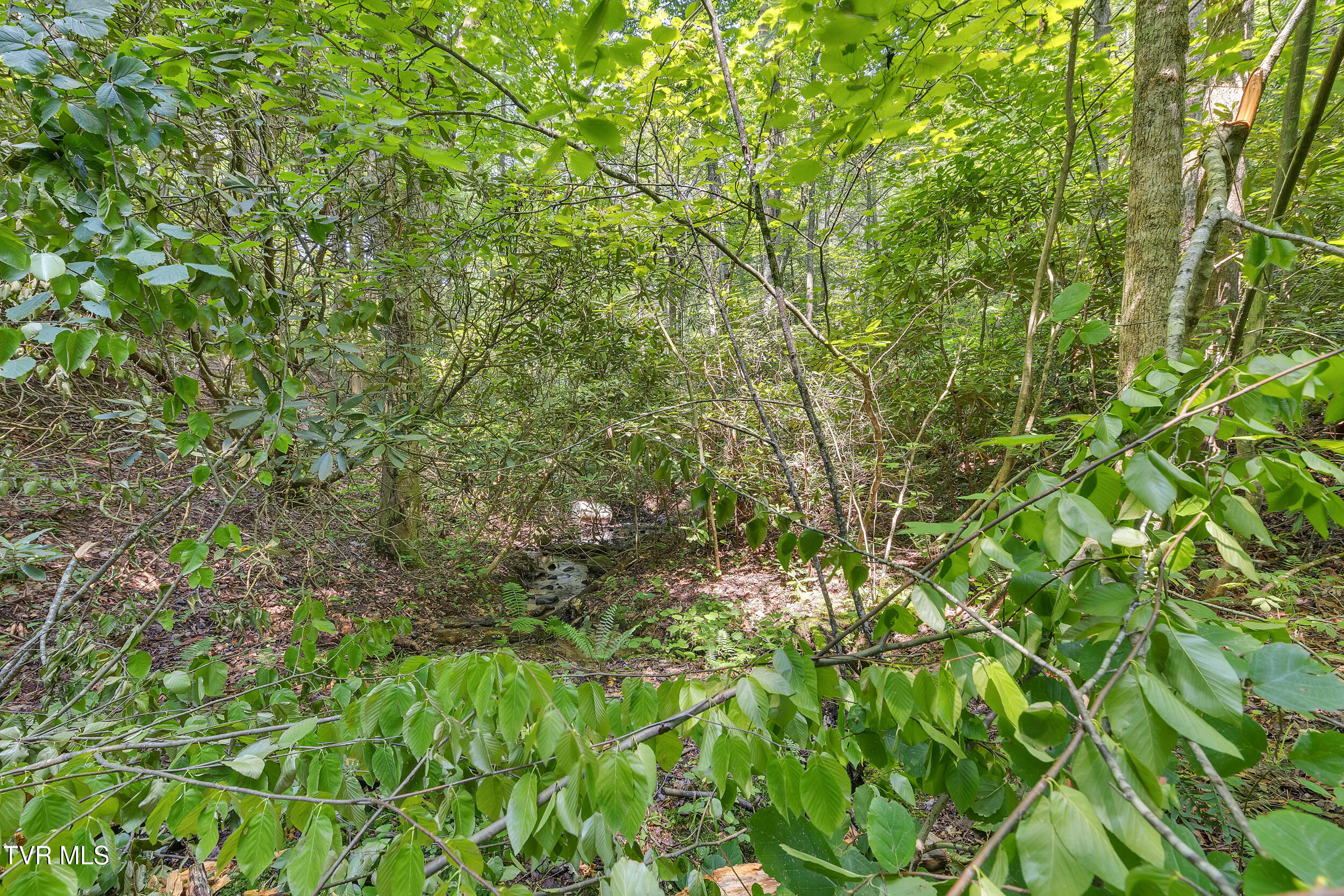 3232 Shelby Way Property Photo 52