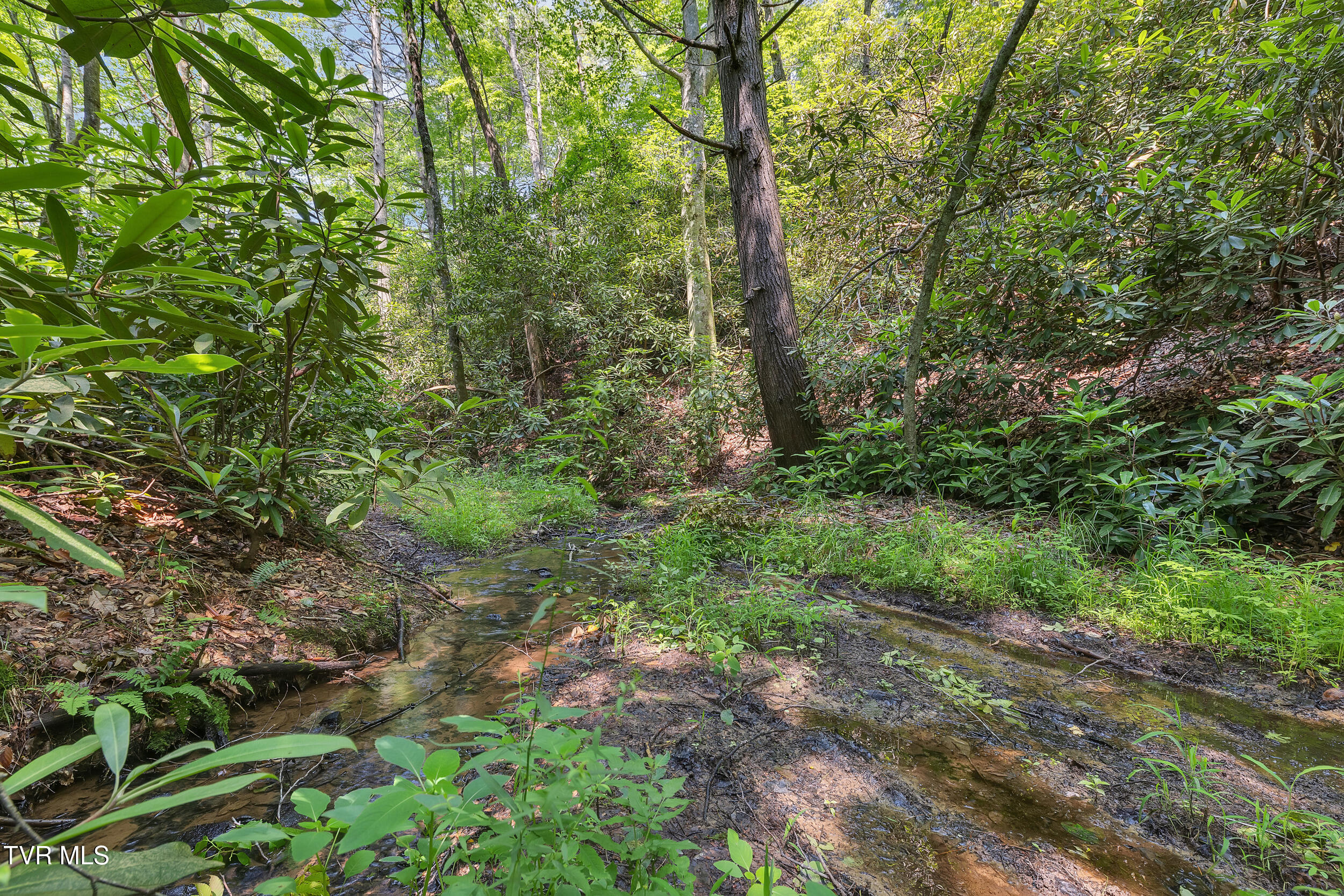 3232 Shelby Way Property Photo 53