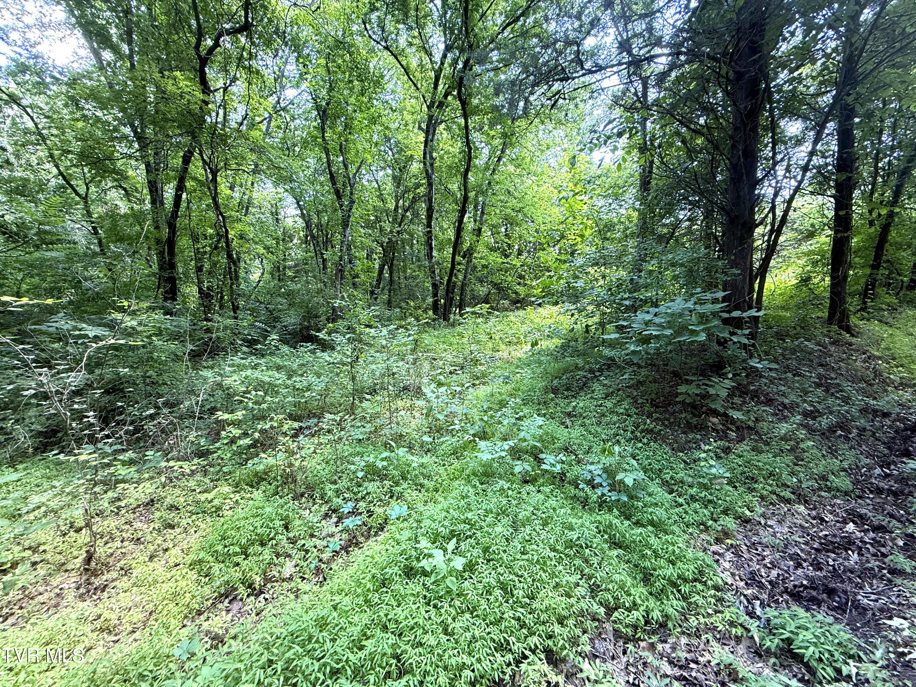 3697 Sane Road Property Photo 1