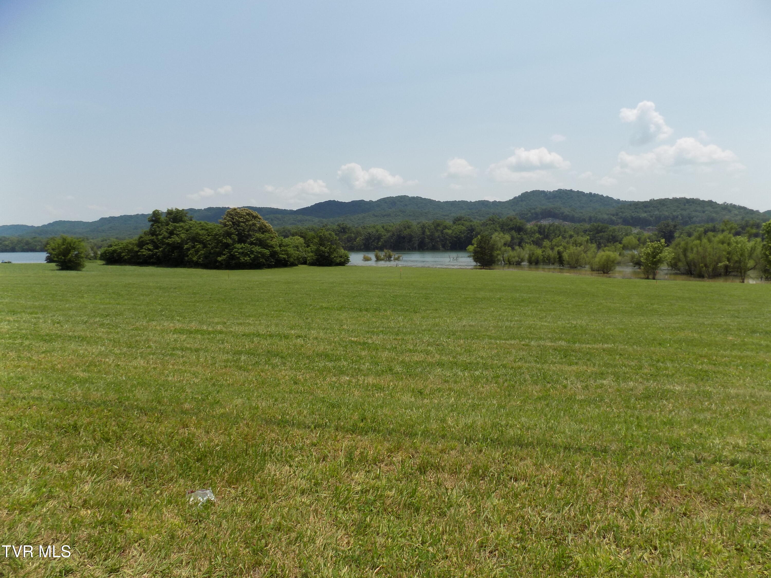 Tbd Highway 11w Property Photo 1