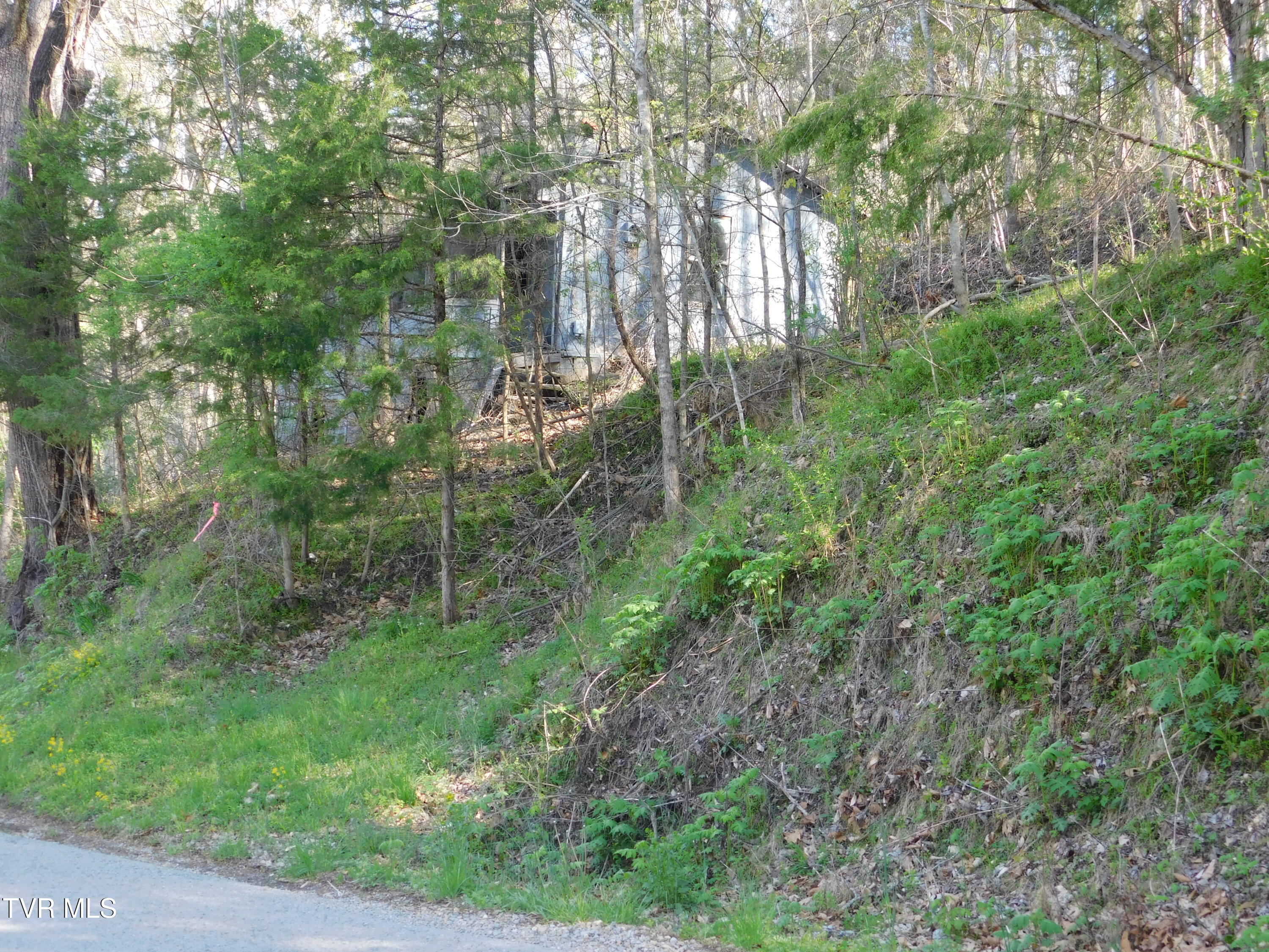 4400 Big Hill Road Property Photo 1