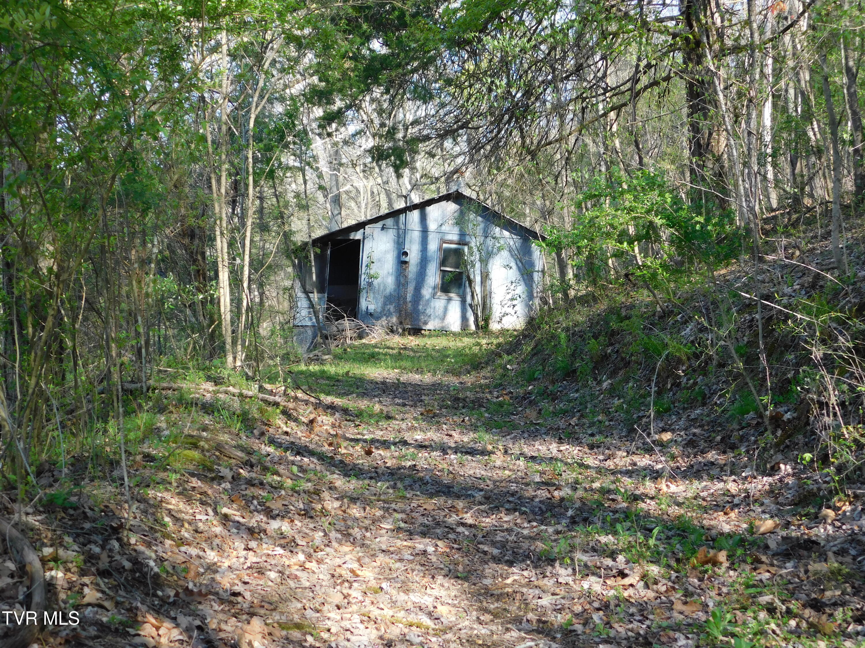 4400 Big Hill Road Property Photo 5