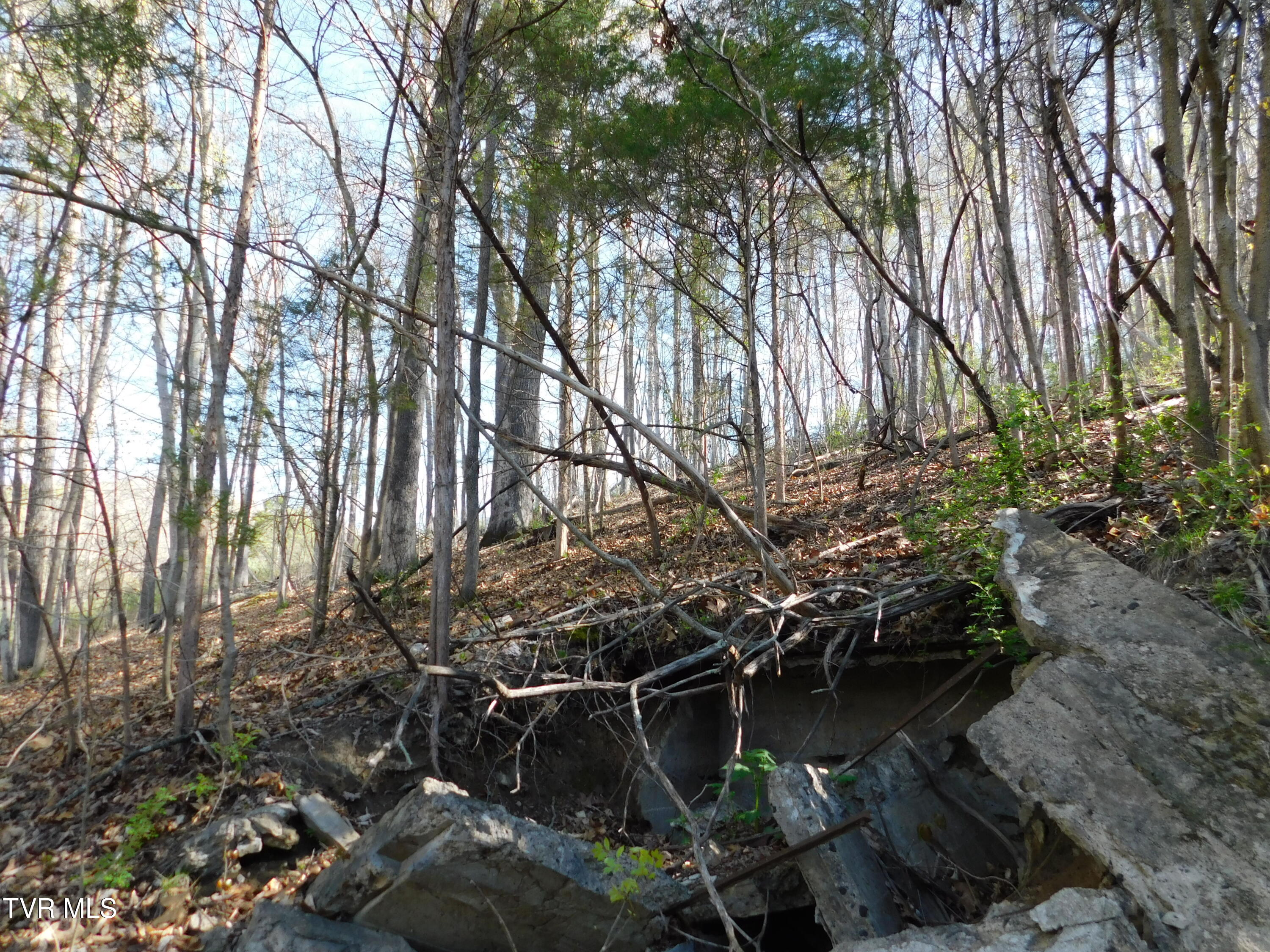 4400 Big Hill Road Property Photo 25