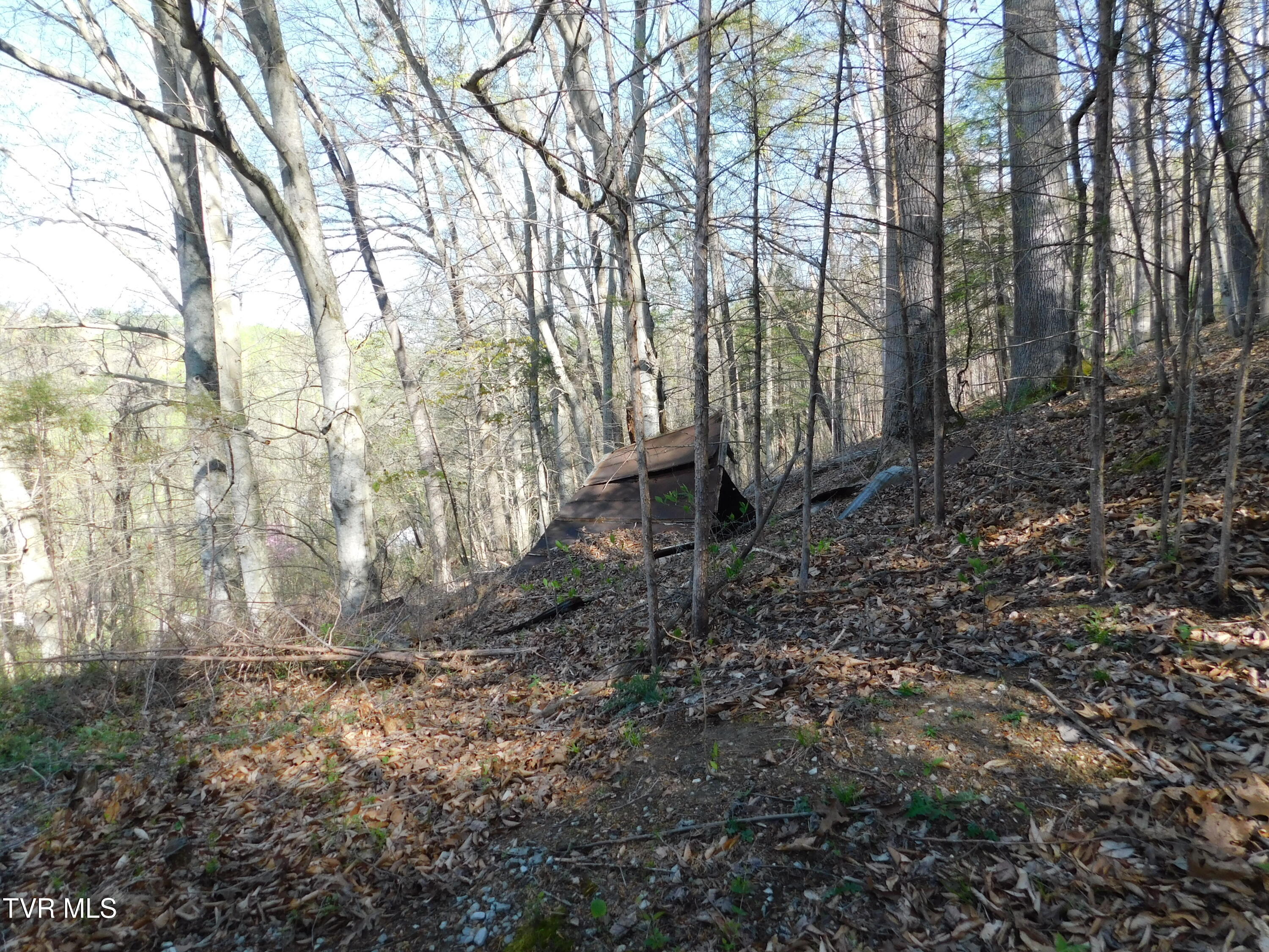 4400 Big Hill Road Property Photo 26