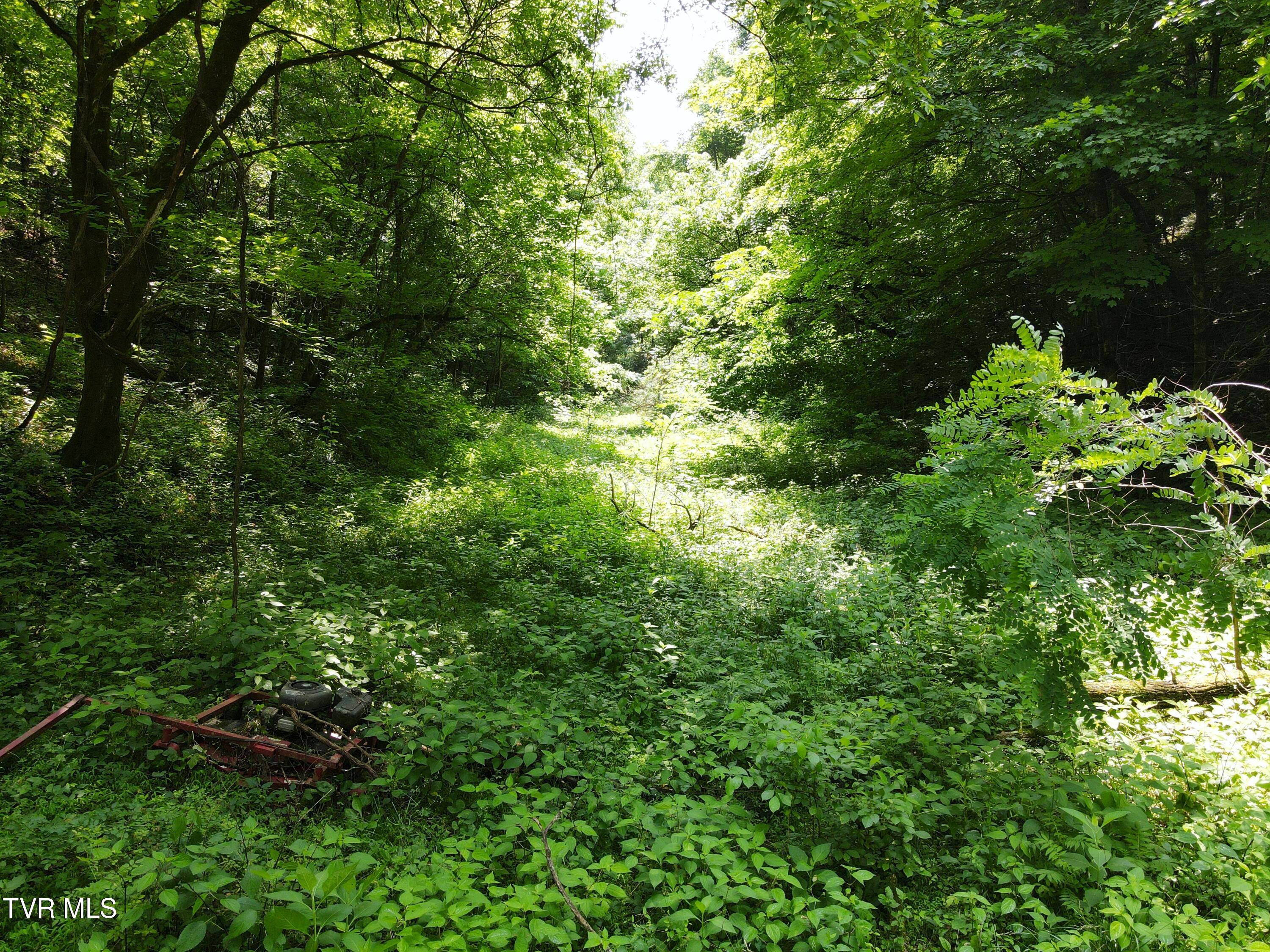 453 Trentham Hollow Road Property Photo 32