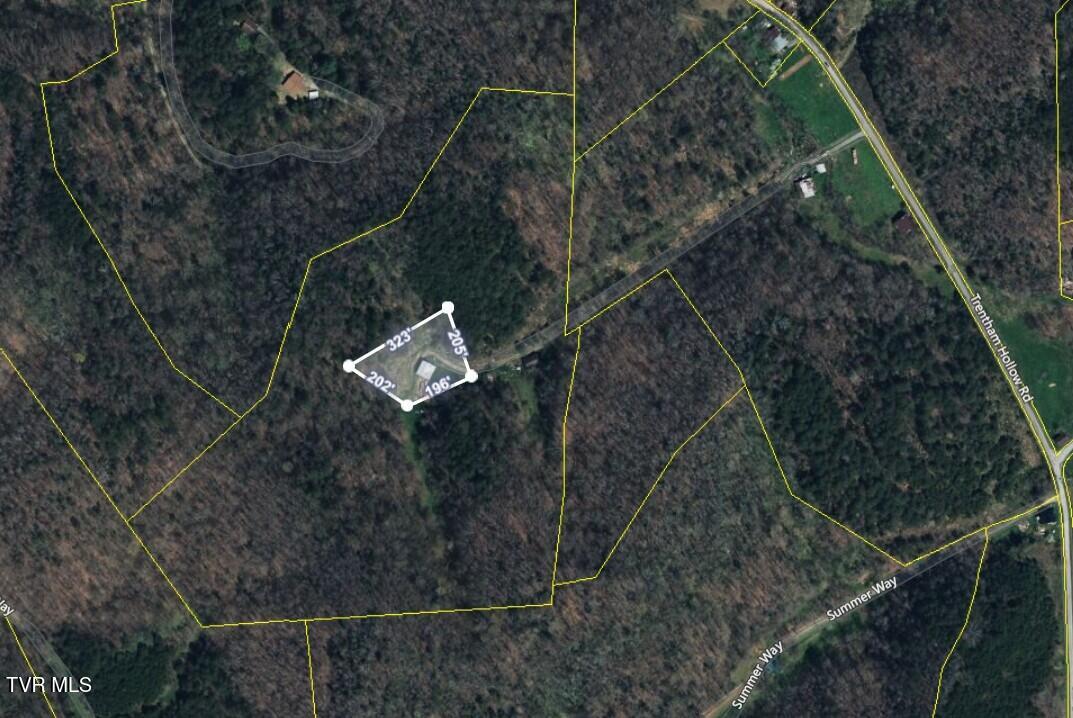 453 Trentham Hollow Road Property Photo 38