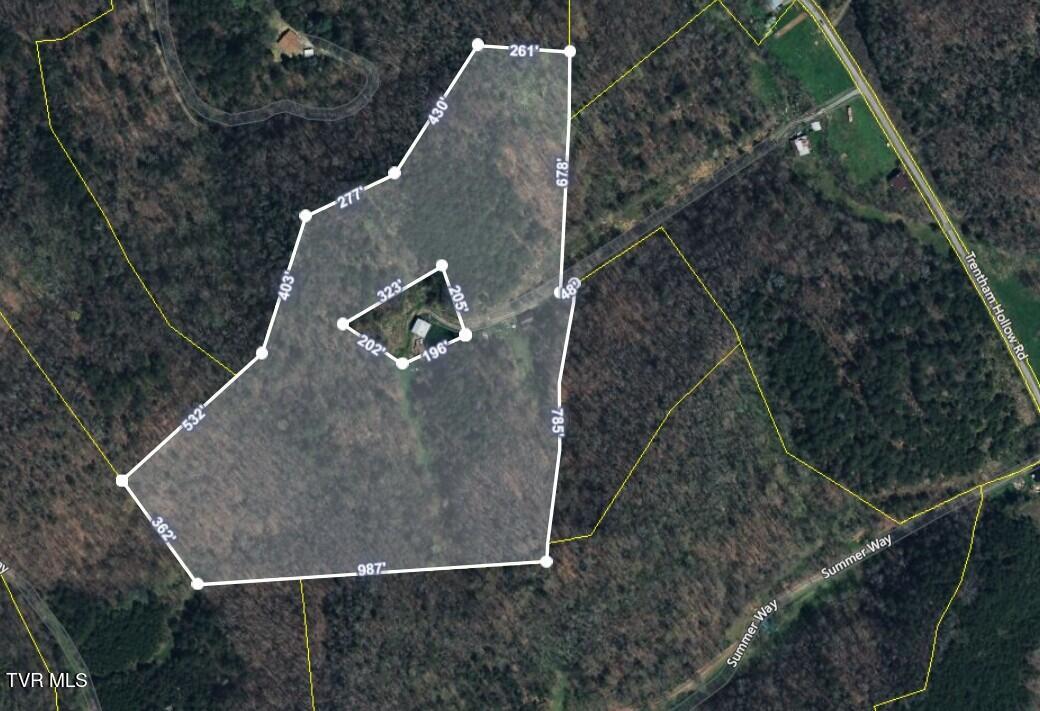 453 Trentham Hollow Road Property Photo 39