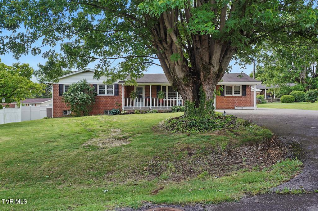 51 Major Street Property Photo 1