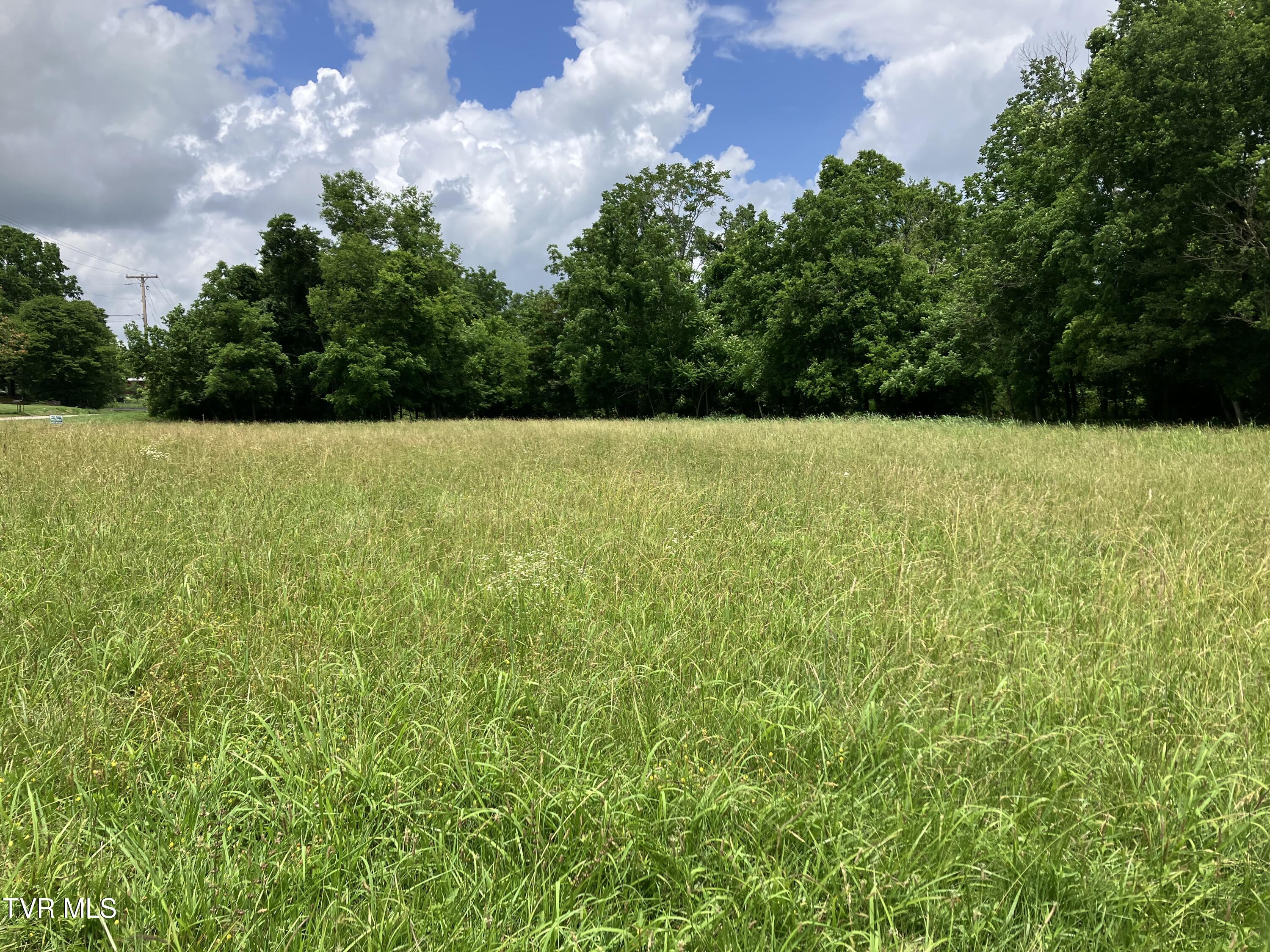 Tbd Treadway Trail Property Photo 1