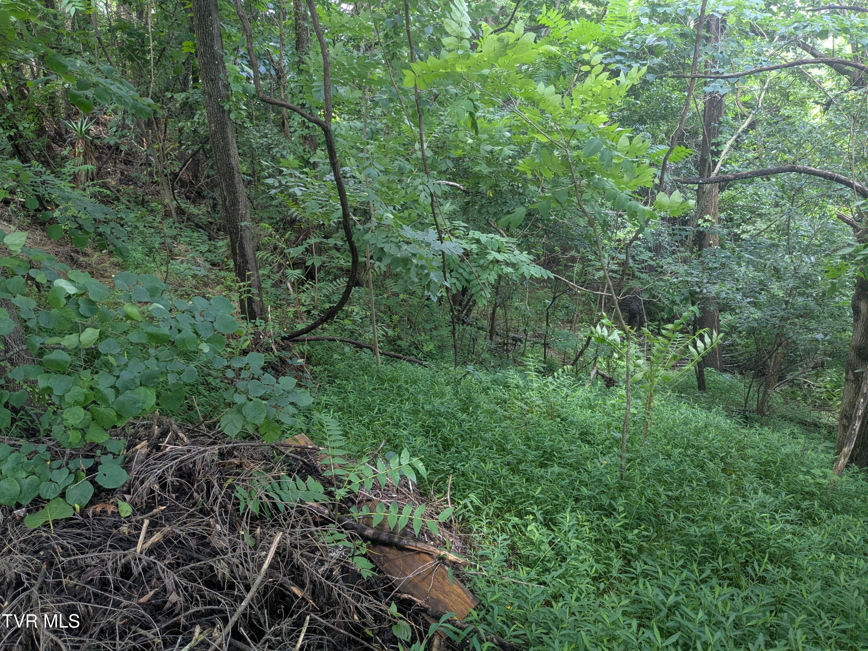 248 Bayberry Drive Property Photo