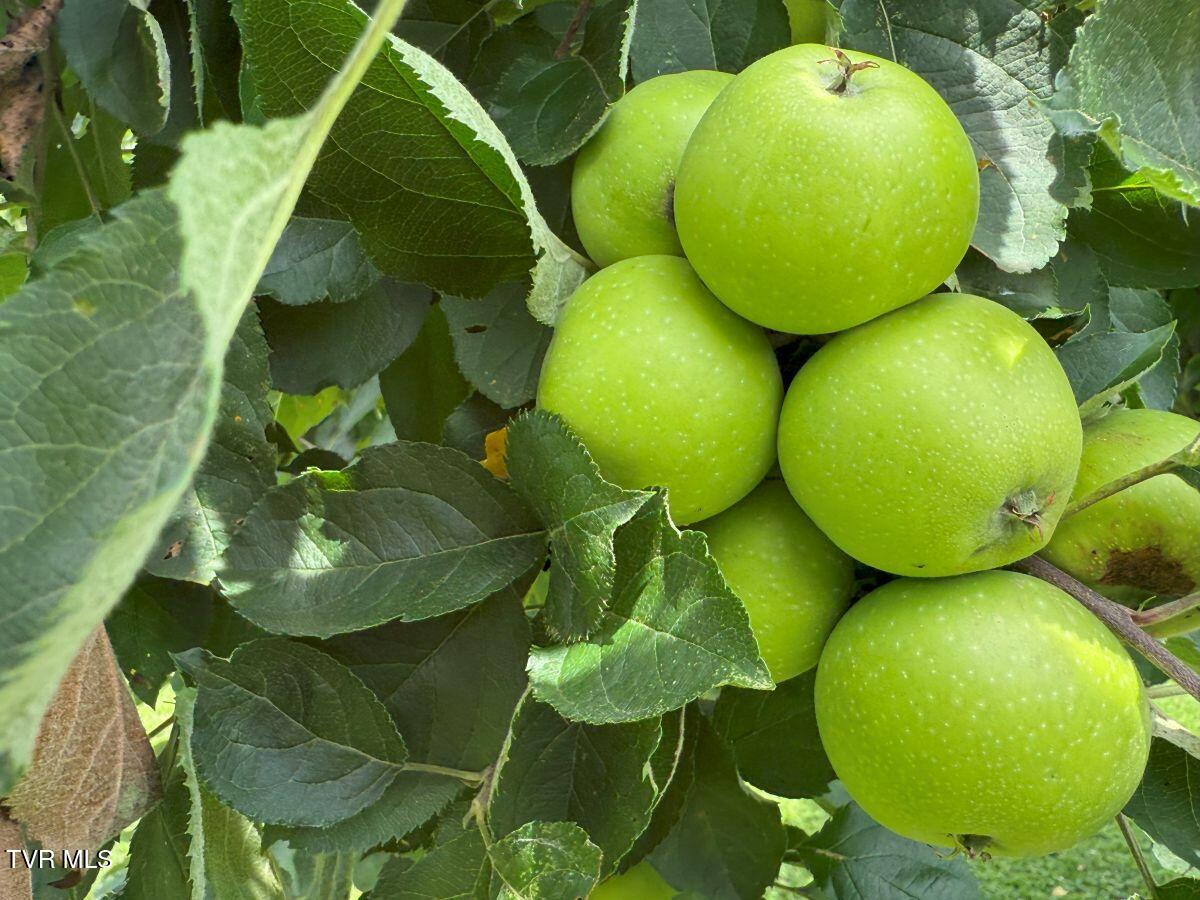 3500 Block Of James Phillips Way Property Photo 7