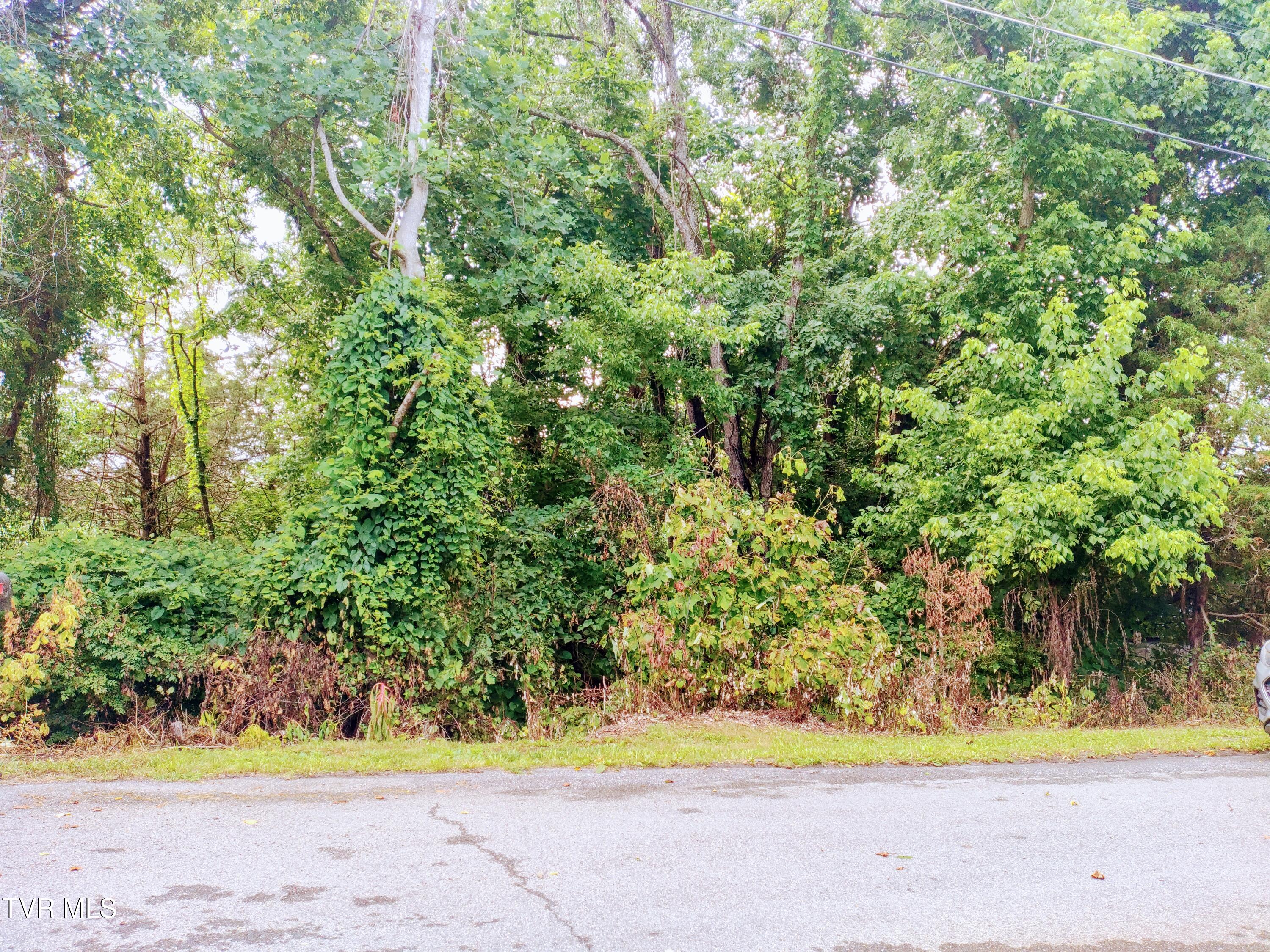 Lot 10 Highland Circle Property Photo 1