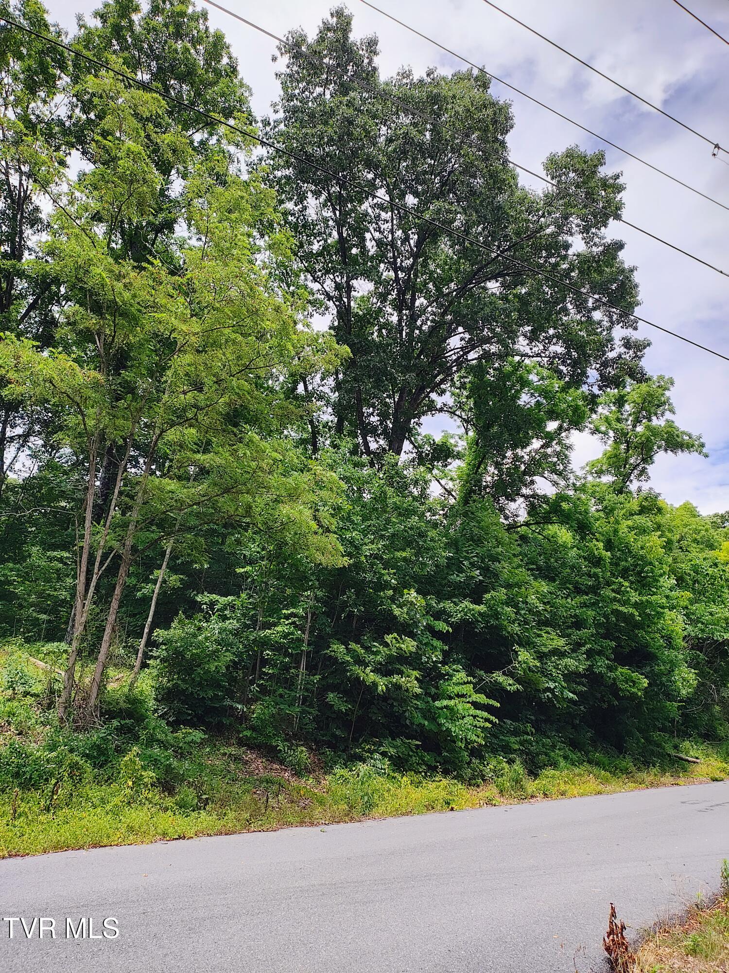 Lot 5 Pond Springs W Road Property Photo