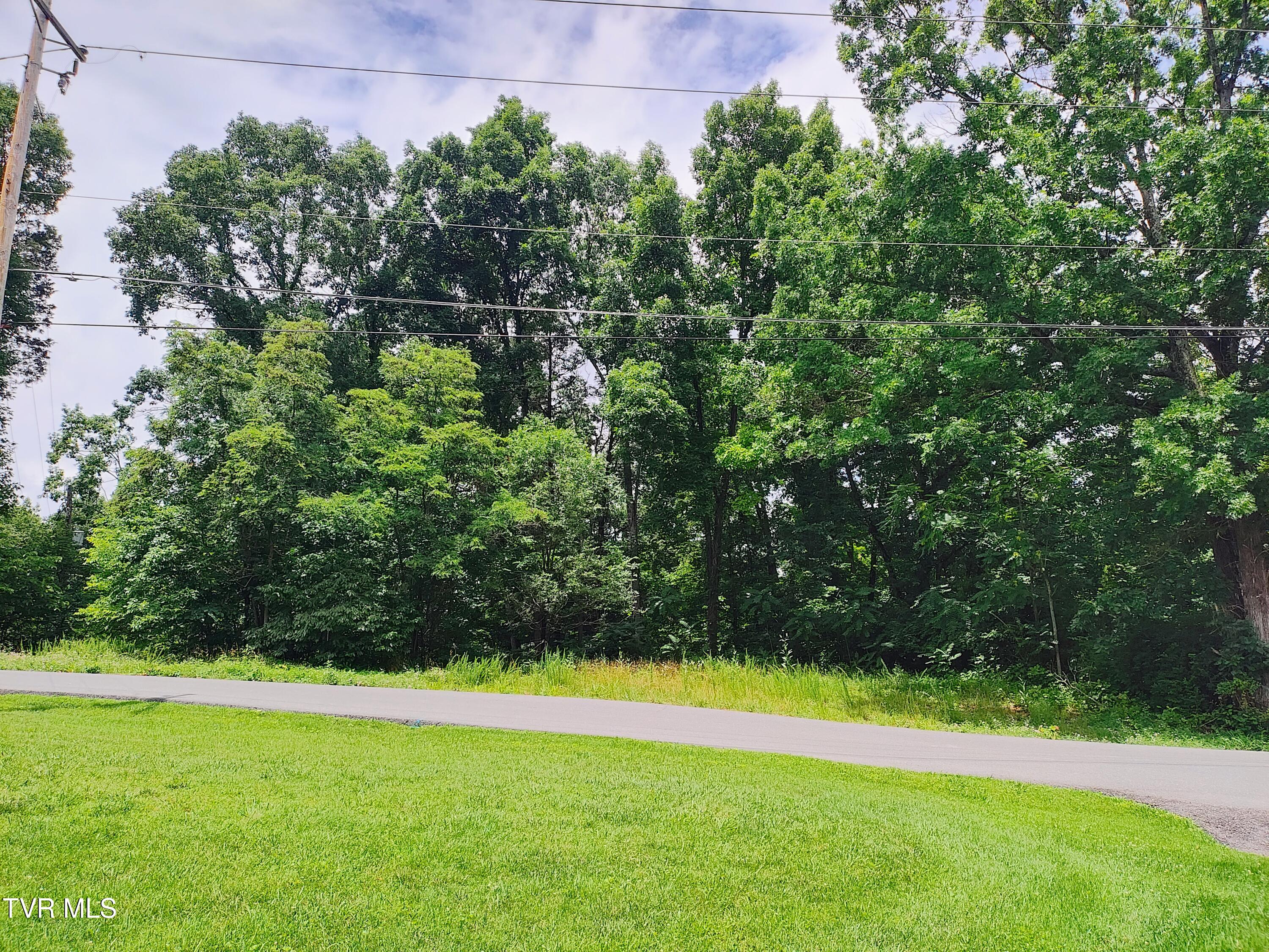 Lot 2 Pond Springs W Road Property Photo