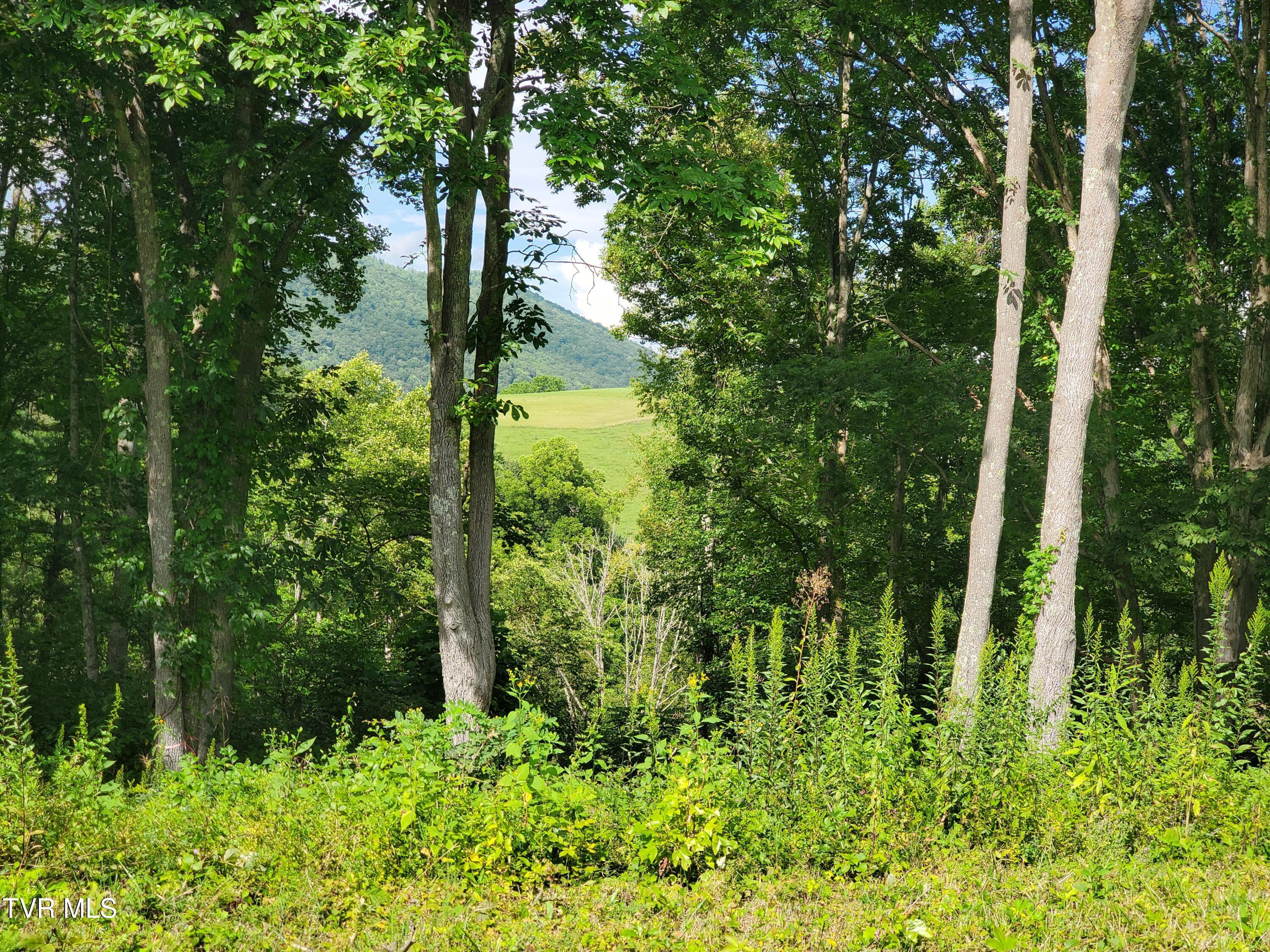 Lot 36 West Of Dry Hill Property Photo